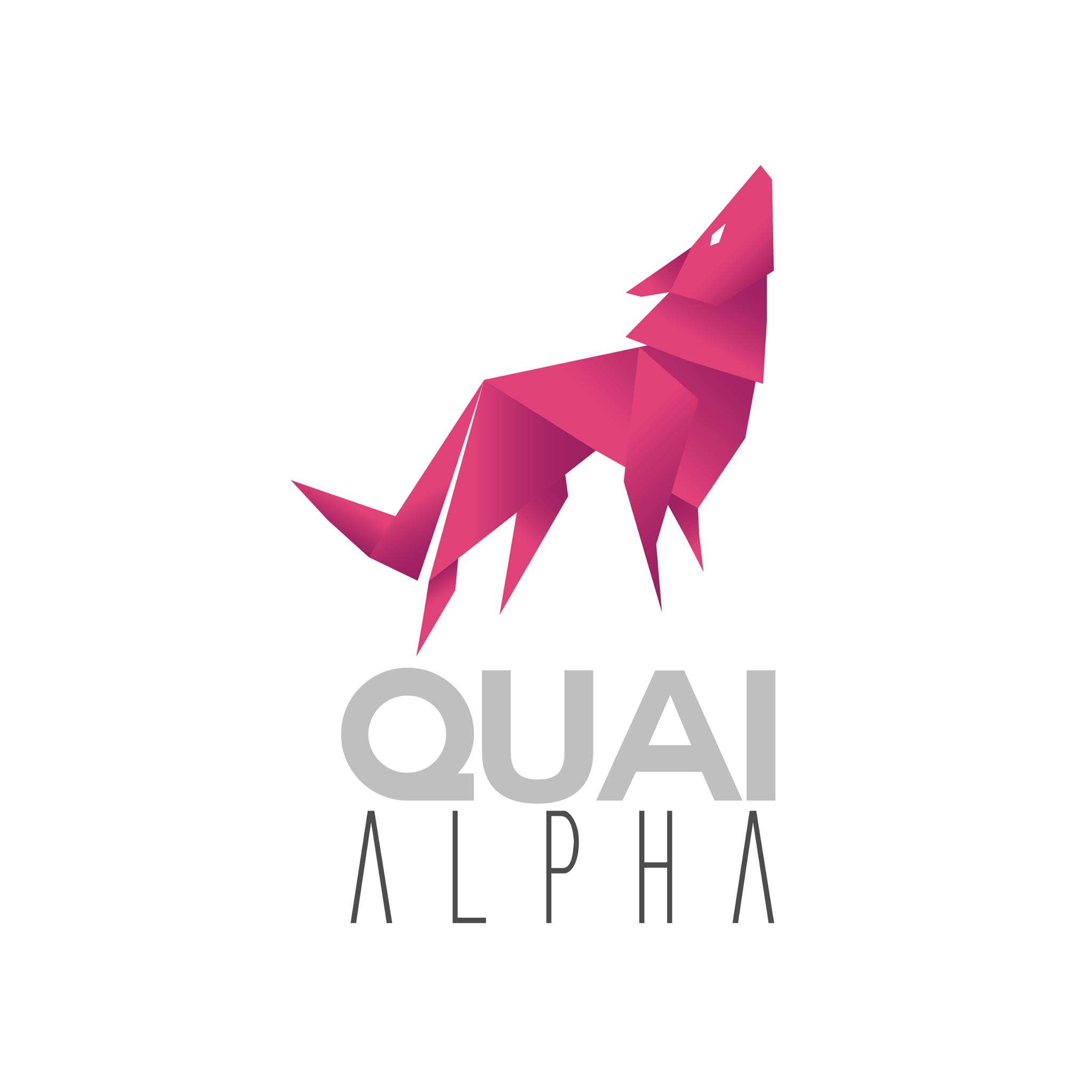 Quai Alpha - incubateurs