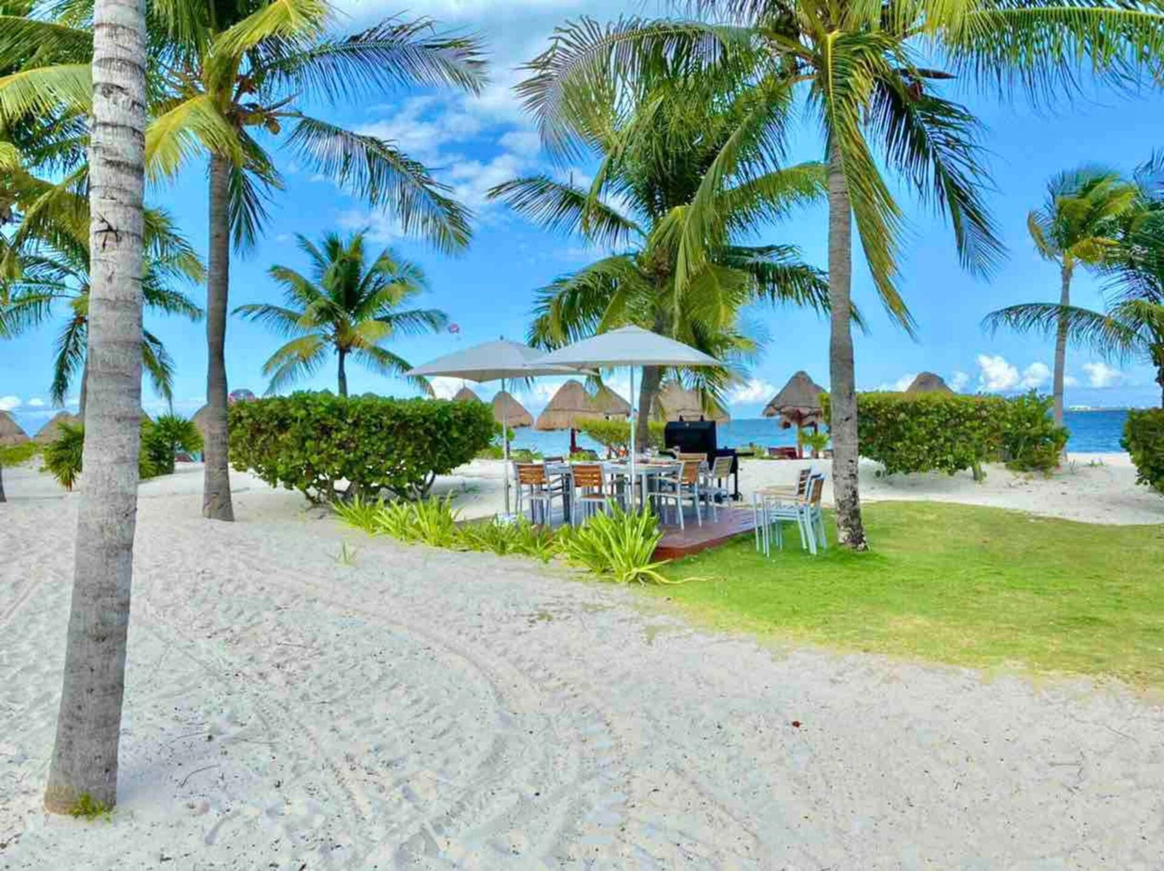 La Amada Jungle 1B — photo 11