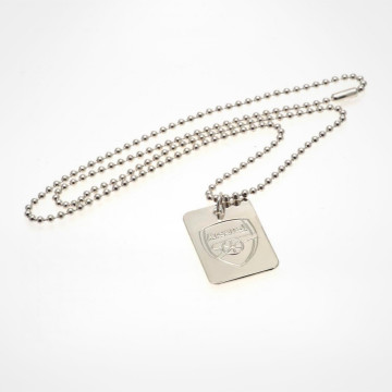 Silver Plated Dog Tag & Chain