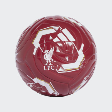 Home Mini Ball