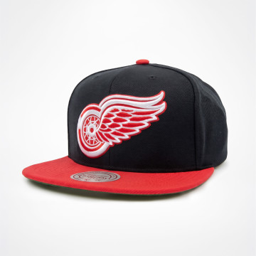 Team 2 Tone - Snapback