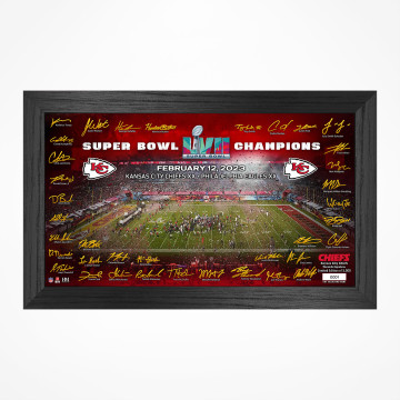 Framed Picture Super Bowl Champions