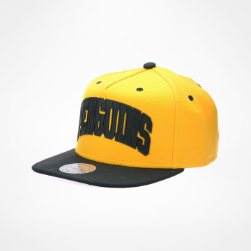 Alleyoop Snapback