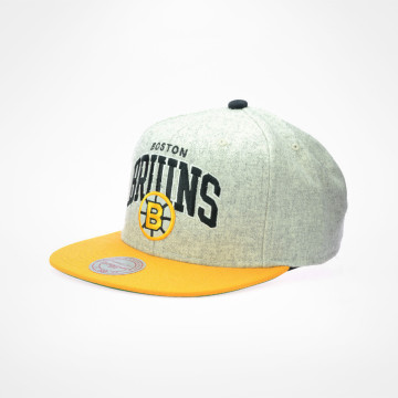 Ally Snapback