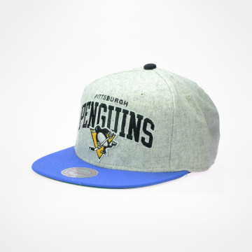 Ally Snapback