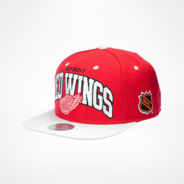 Team Arch Snapback