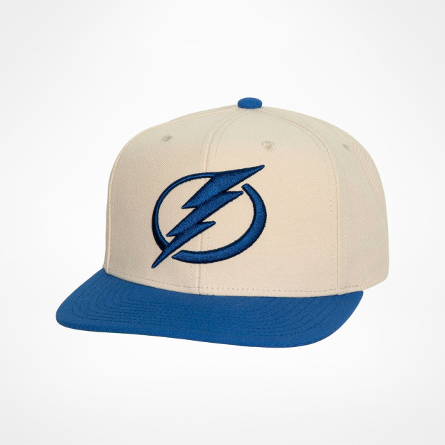 Tampa Bay Lightning Vintage Sports Specialties Script Twill Snapback C –  thecapwizard