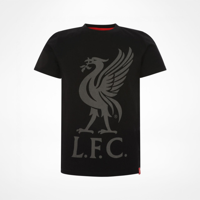 liverpool fc junior shirt