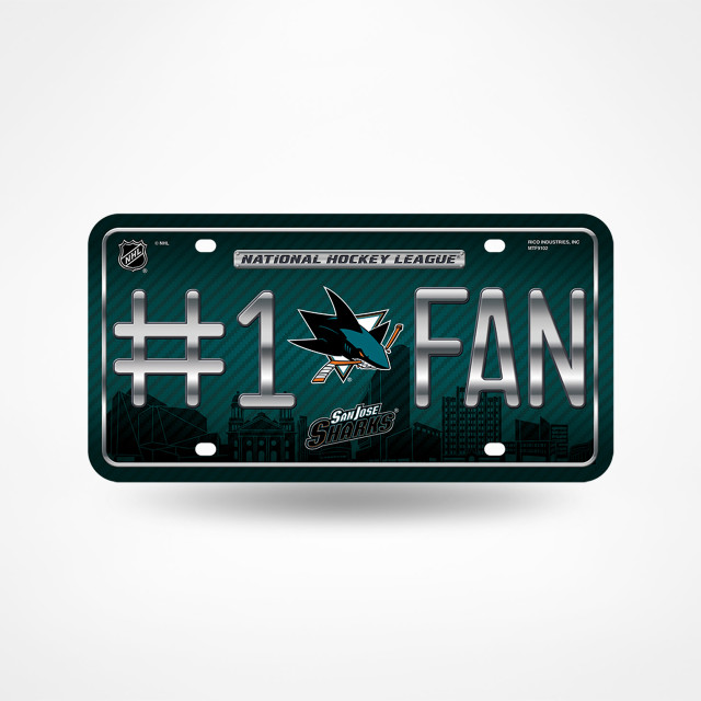 You The Fan Philadelphia Eagles #1 Oven Mitt