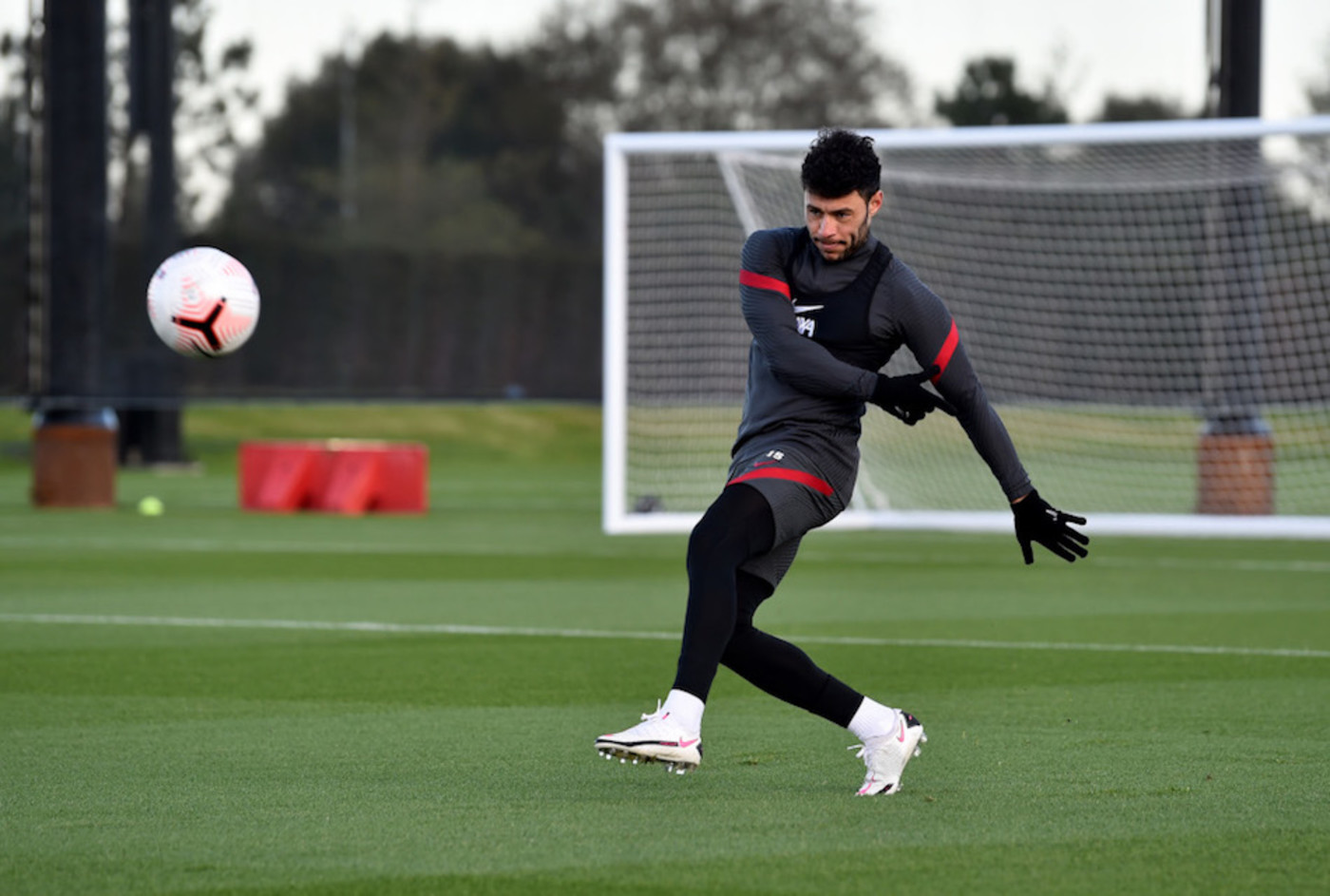 Bild till nyheten Ox tränar med boll igen