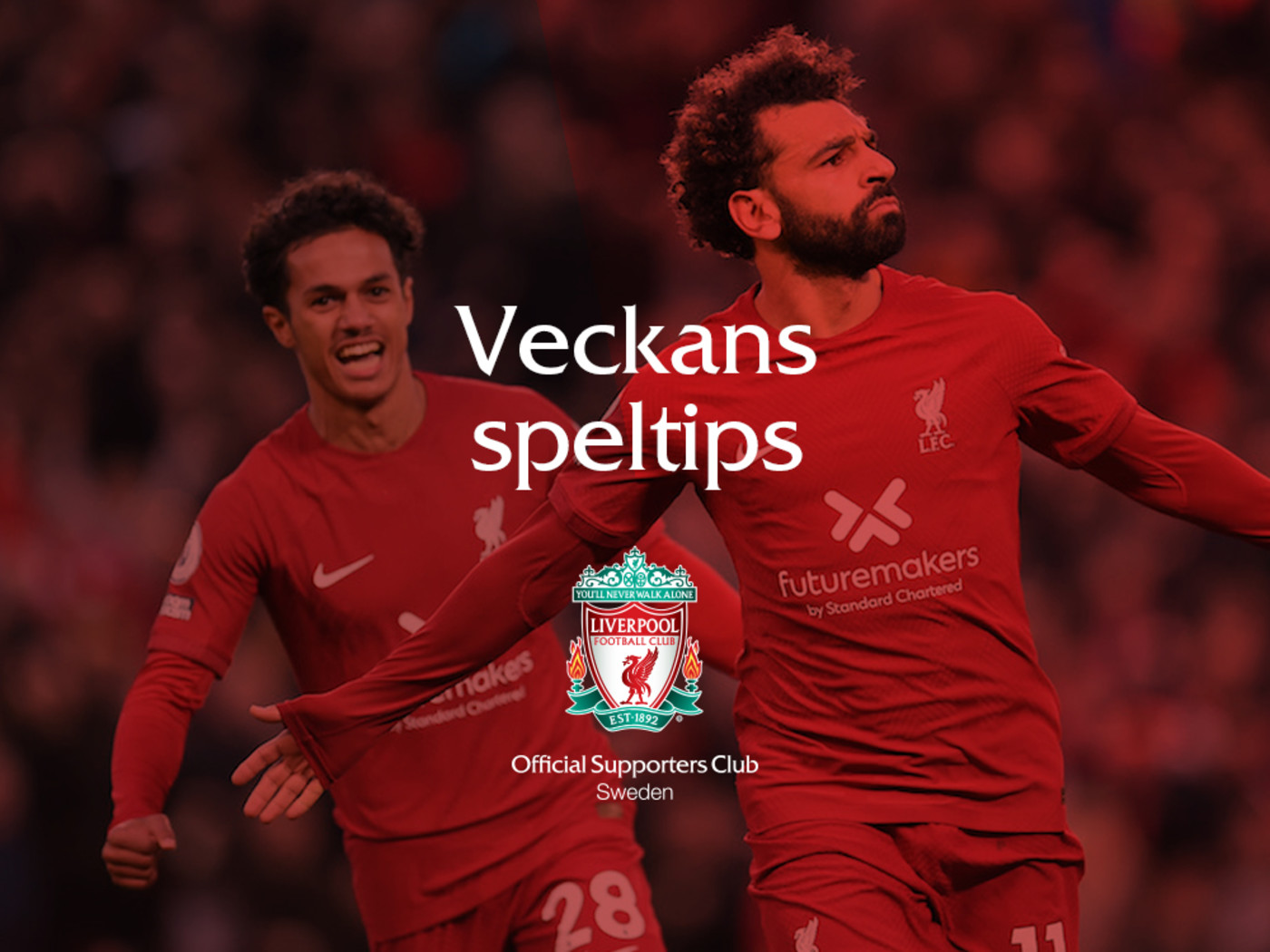 Bild till nyheten Så gick projektet med "Liverpoolhästarna"