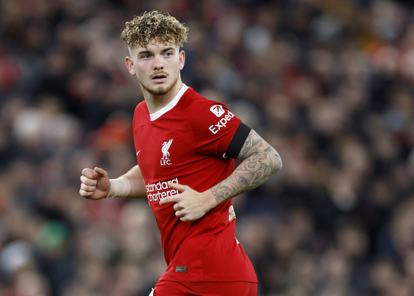 Liverpool: Elliott: Måste vinna för fansen