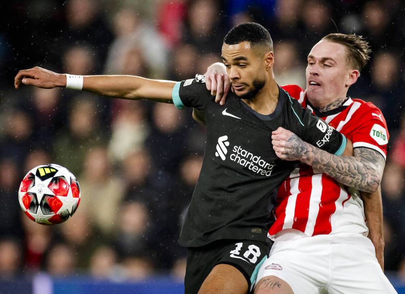 Bild till nyheten 📌 Facts & Stats: Seger säkrar slutspelsplatsen