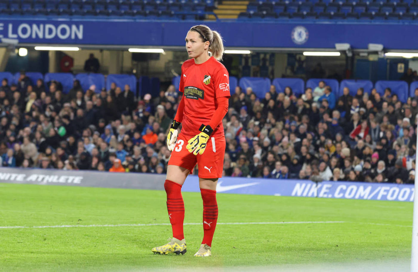 Damlaget lånar in Falk