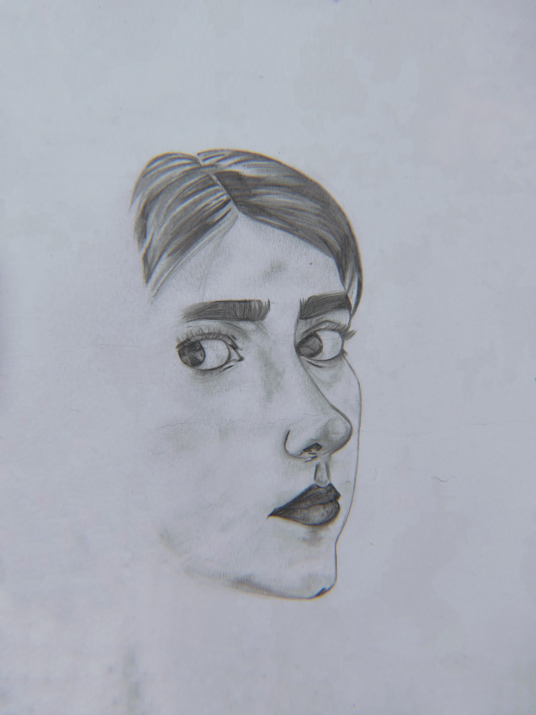 Art 4-The self series.