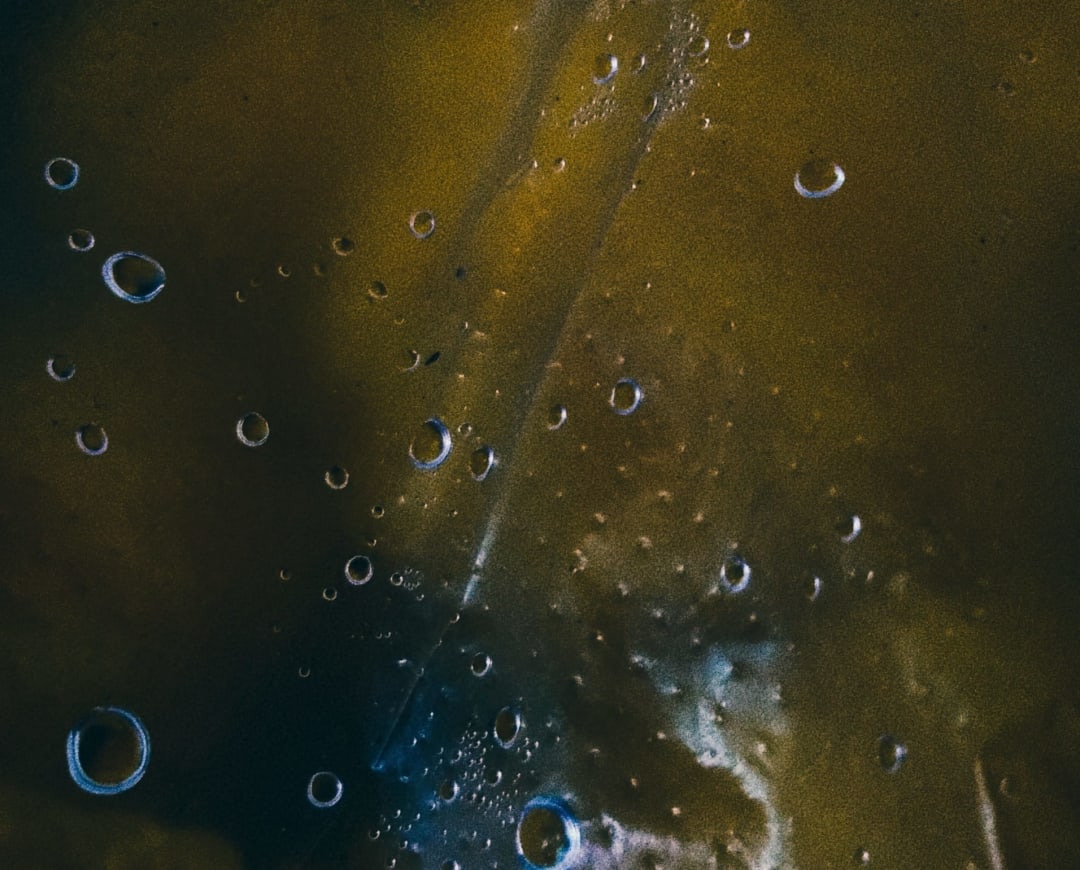 Photo 8-The tale of a submerged polythene.