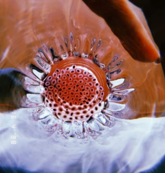 Photo 3-The view within.