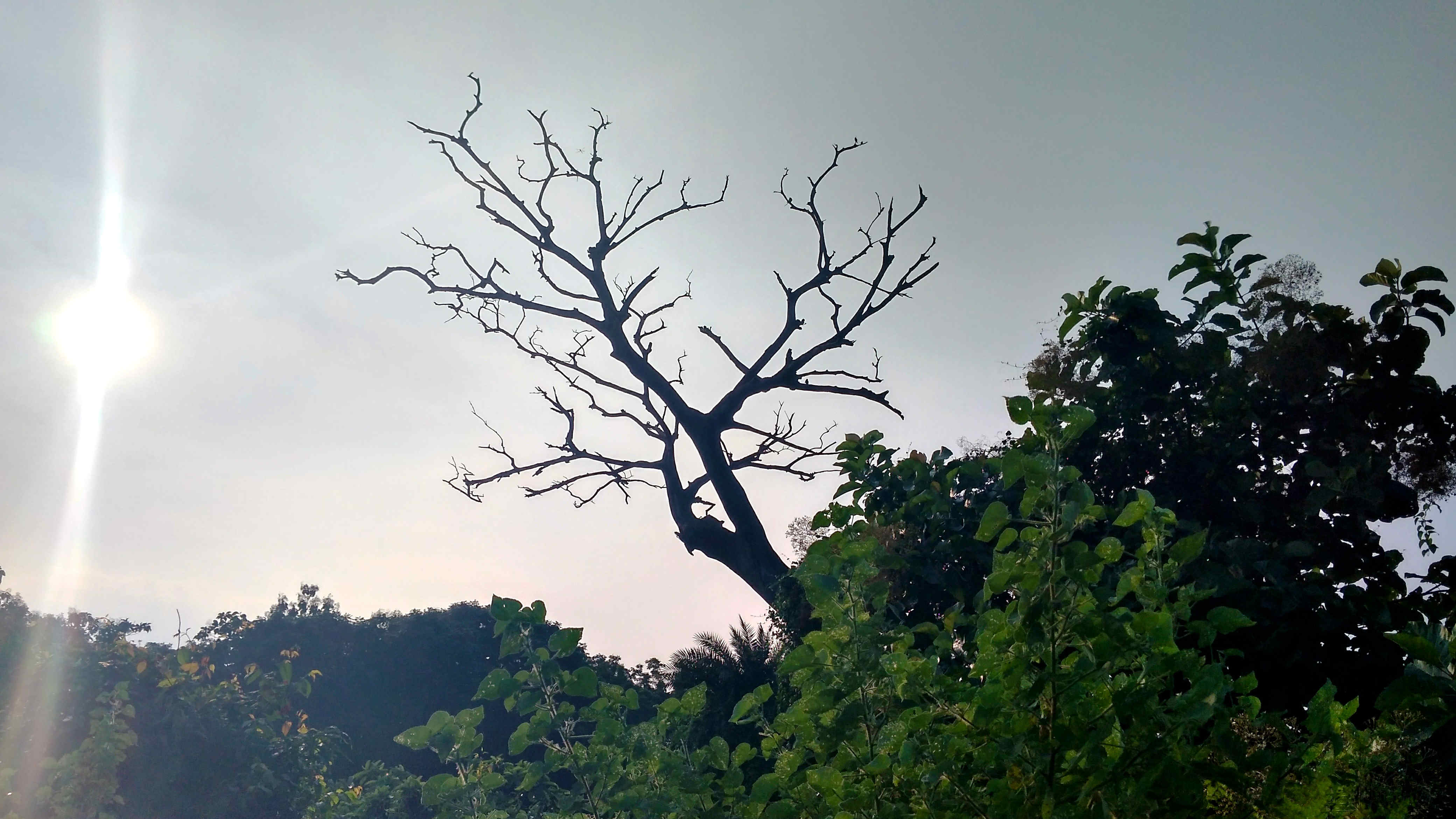 Photography by Surenderan