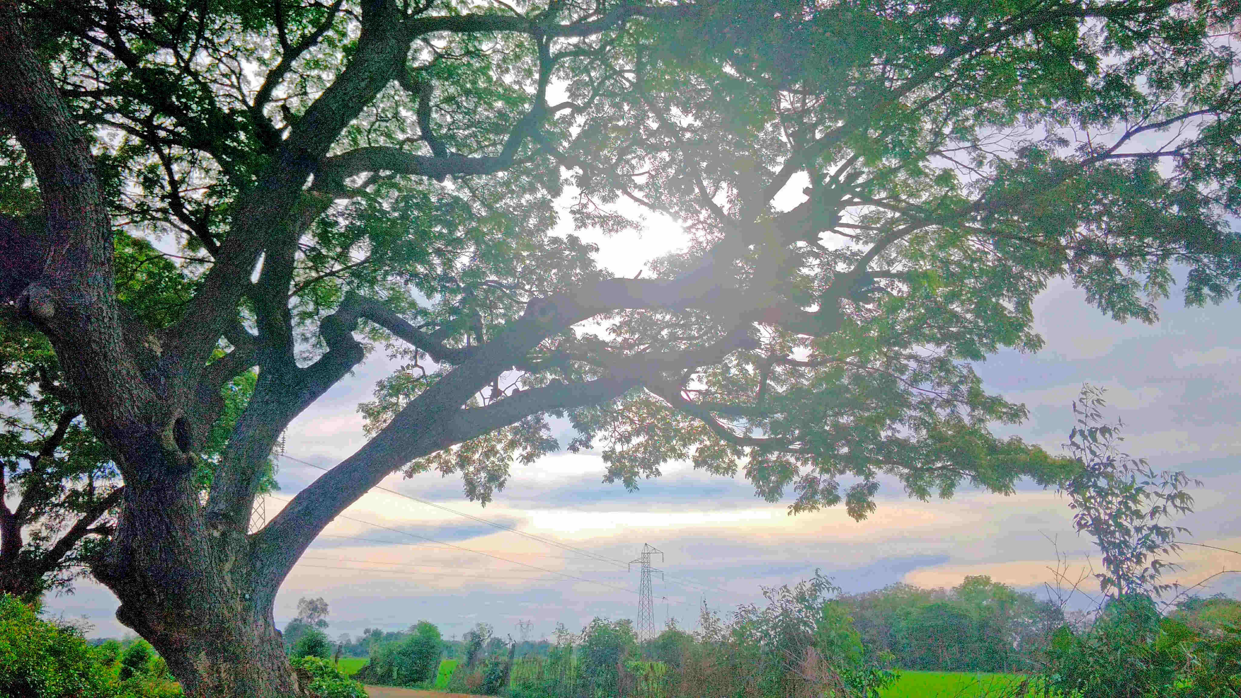 Photography by Surenderan