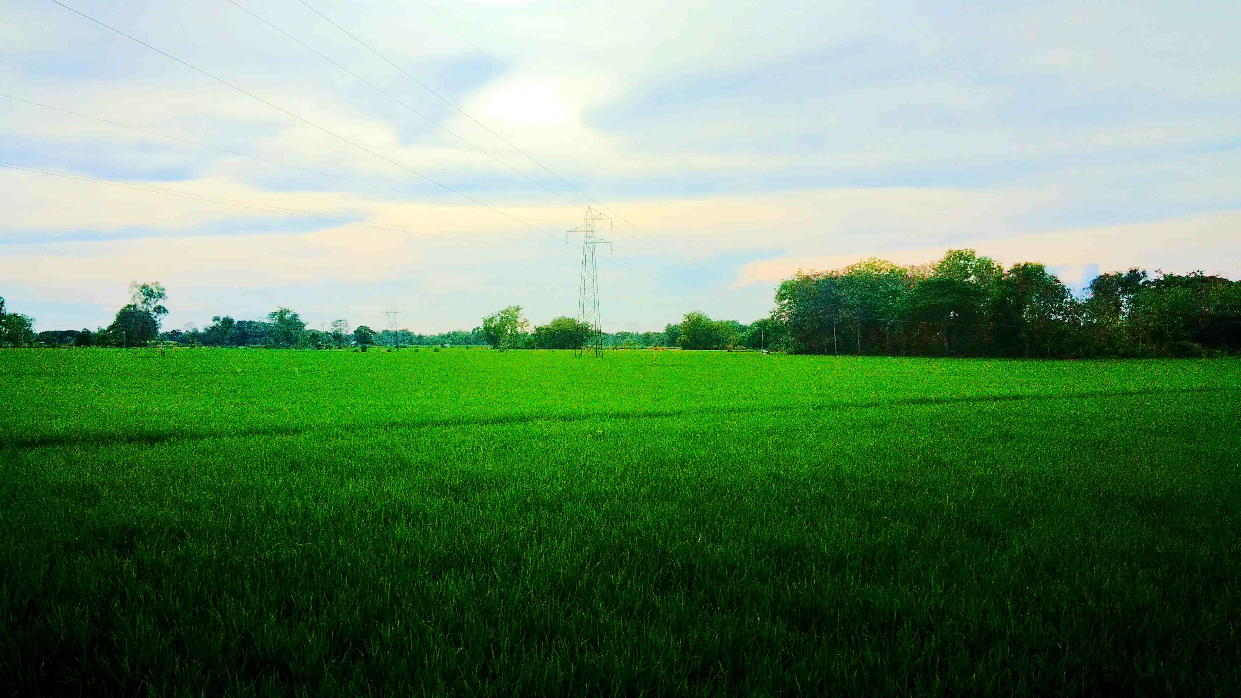 Photography by Surenderan