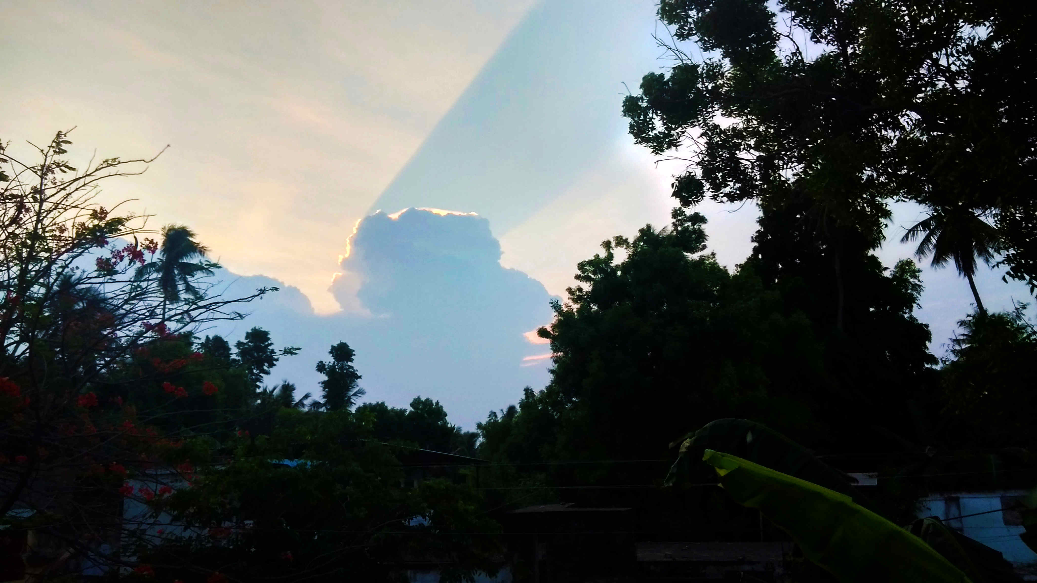 Photography by Surenderan