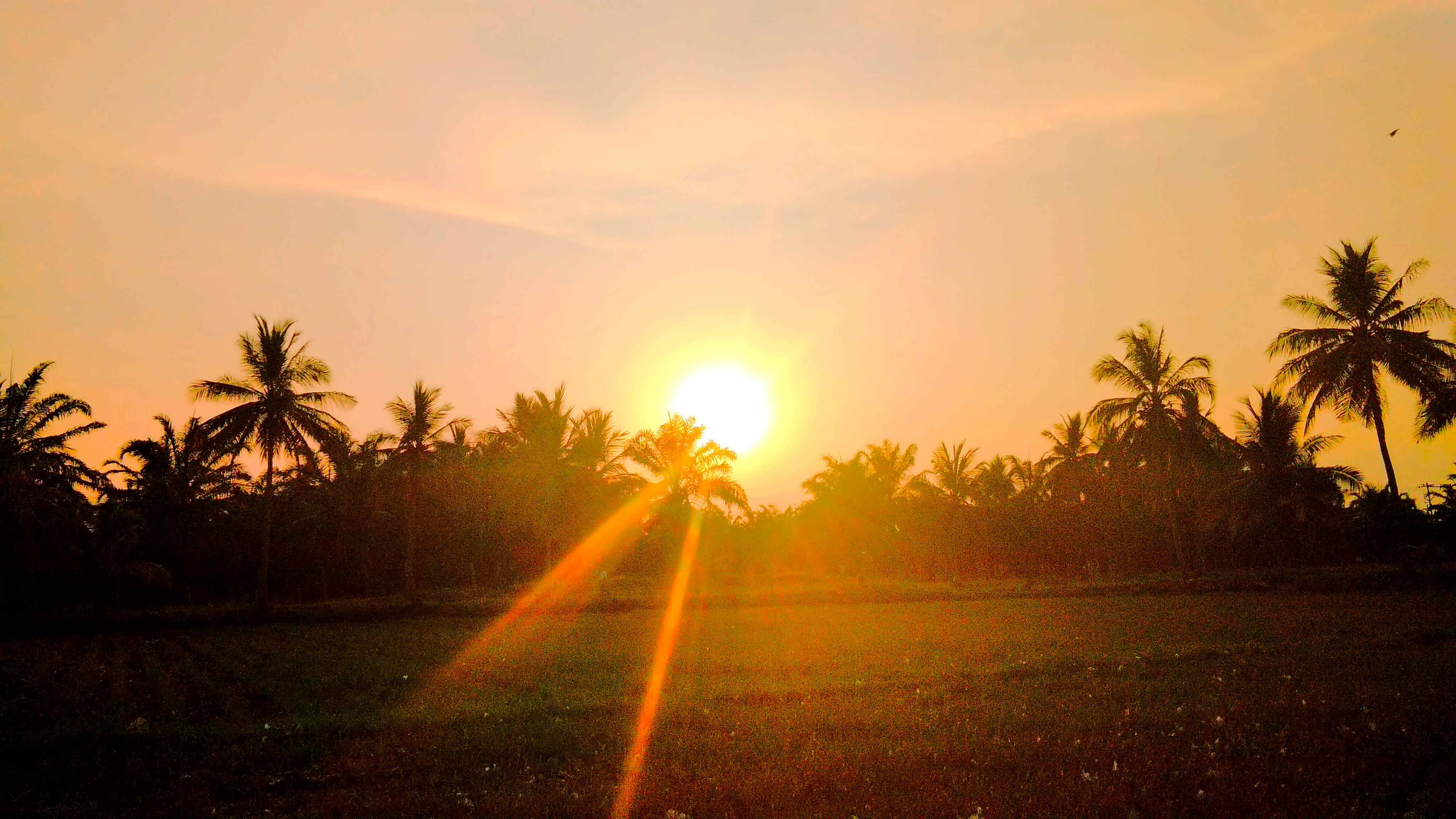 Photography by Surenderan