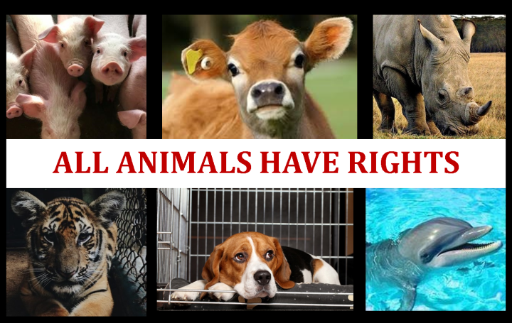 Survey: Animal Rights and Welfare Involvement - It's Emotional and ...