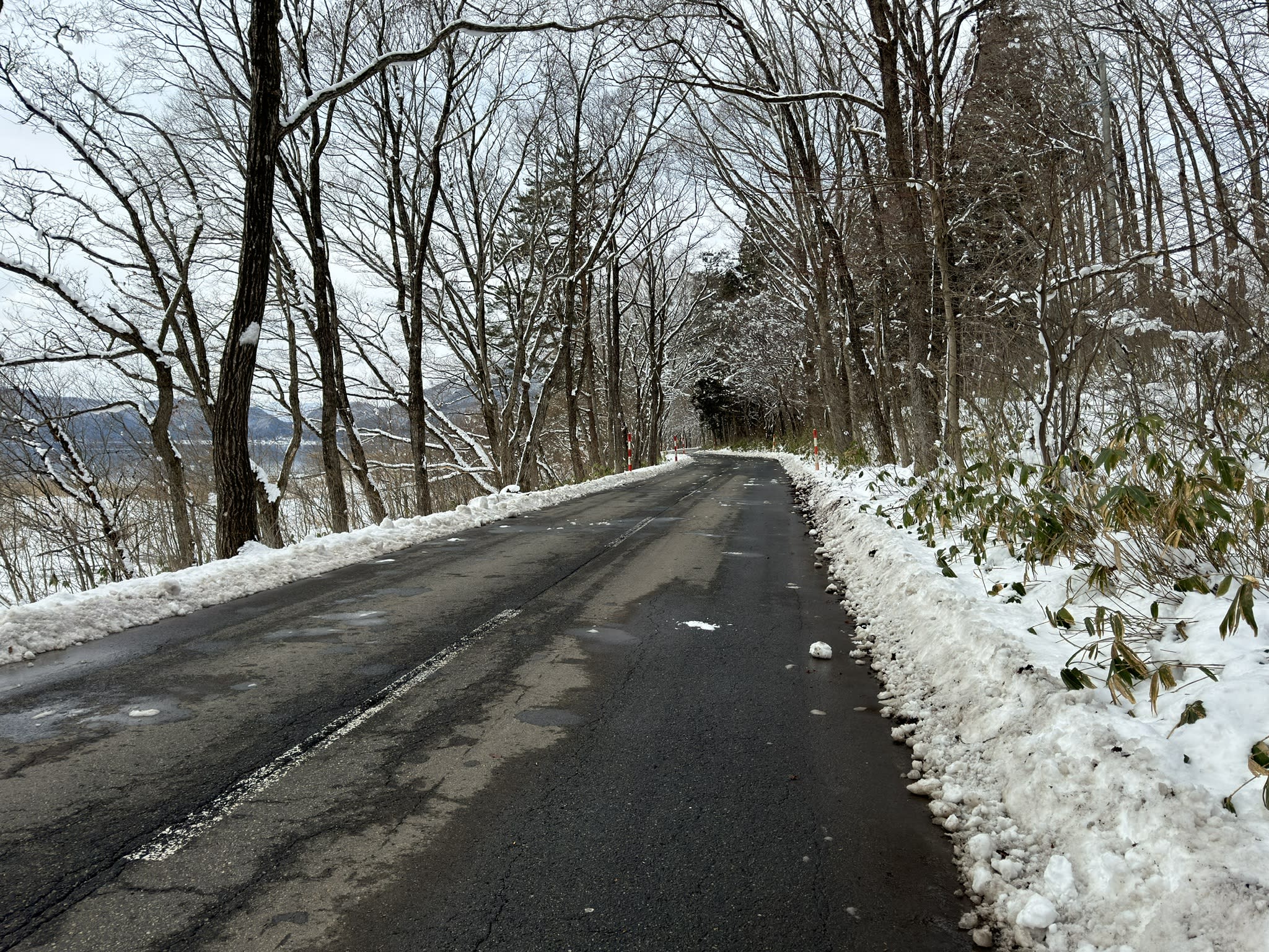 どうみても雪国の車道