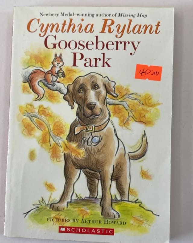 Gooseberry Park front cover