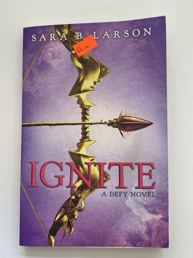 Ignite by Sara B. Larson — front cover