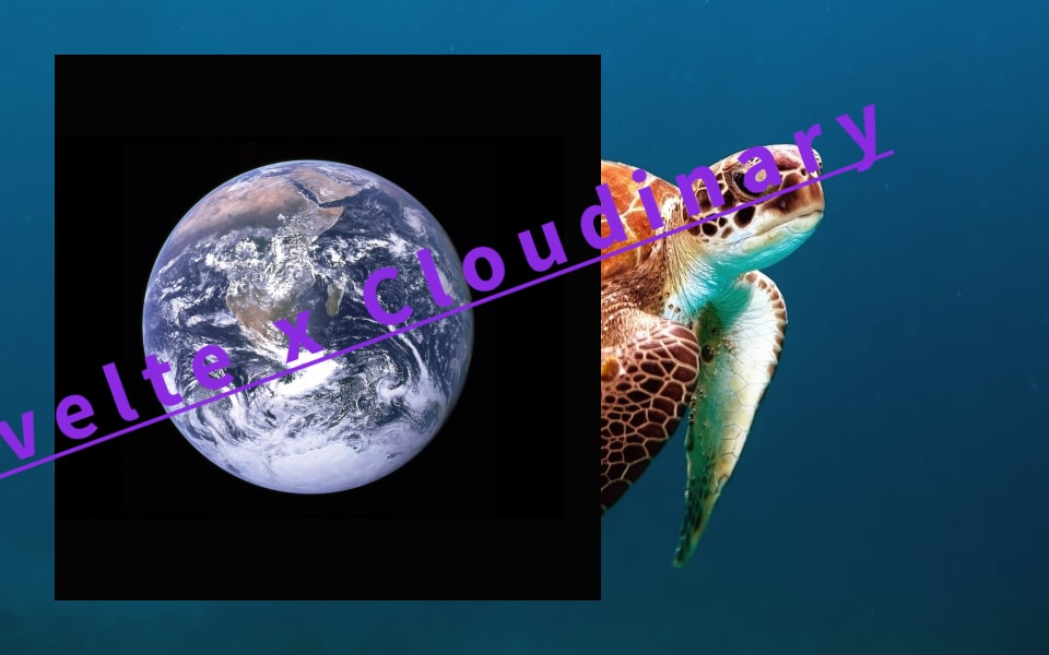Turtle with earth