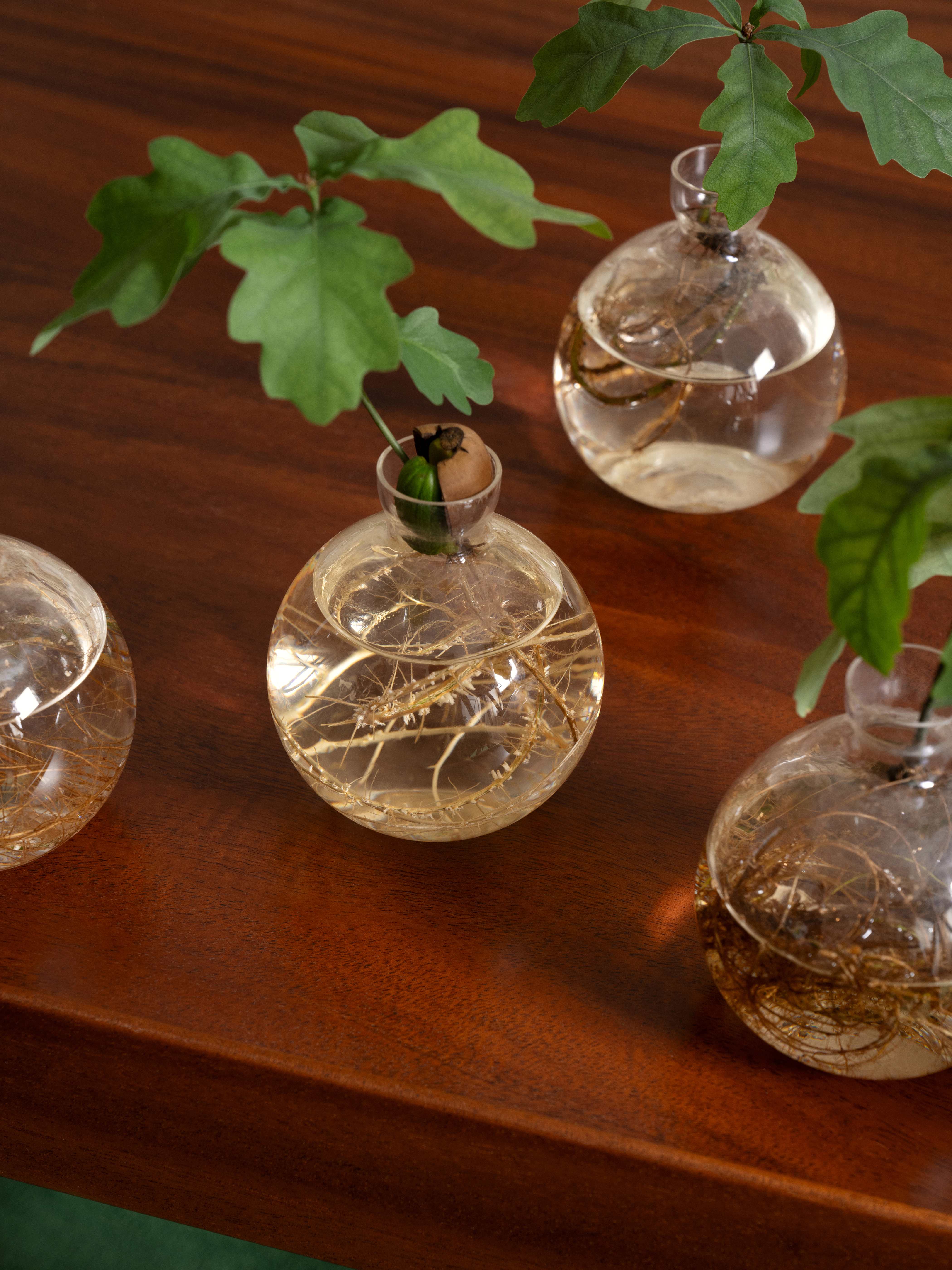 Vase Acorn – Estrid Ericson
