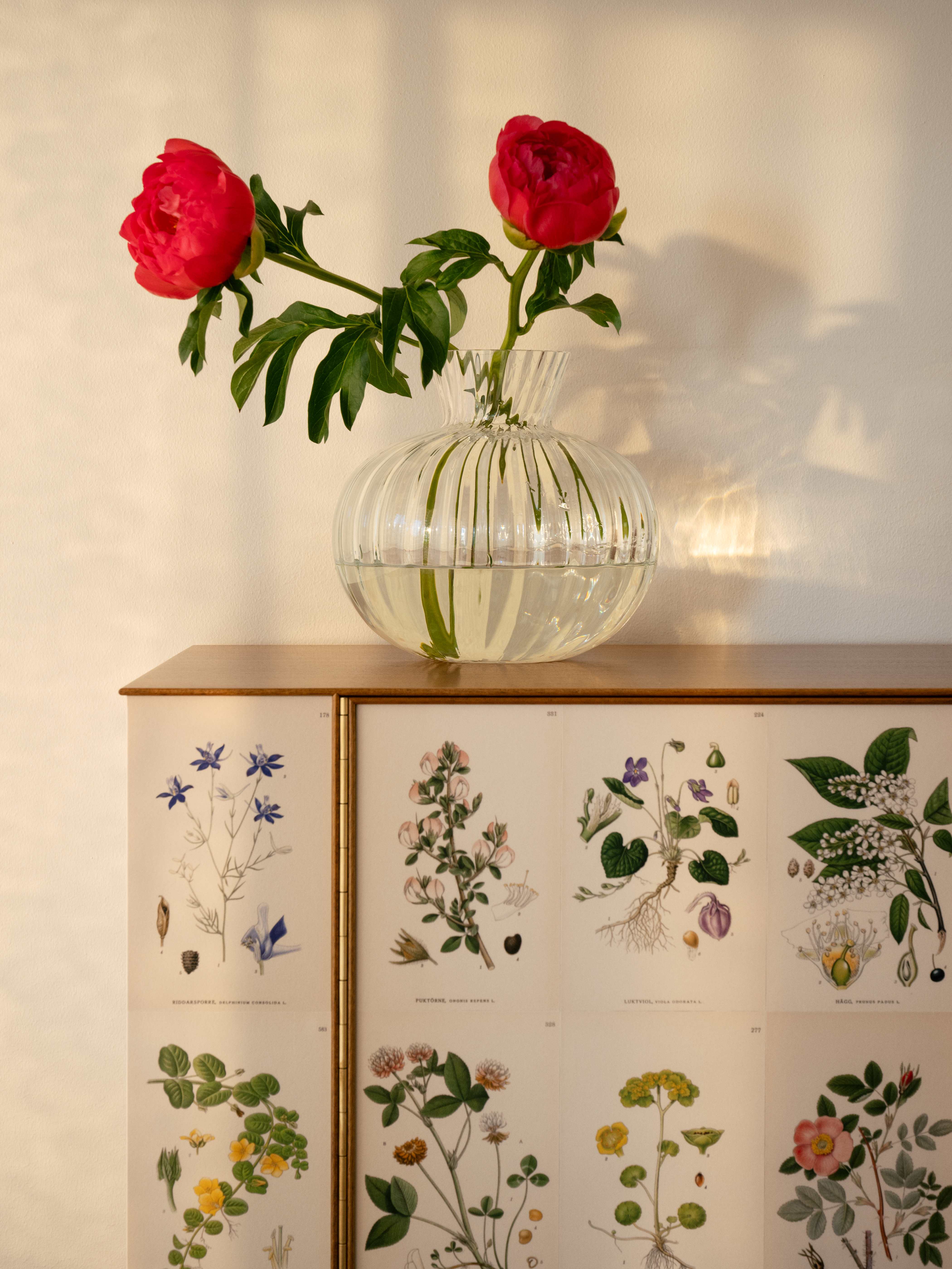 Choose the right vase for your flowers