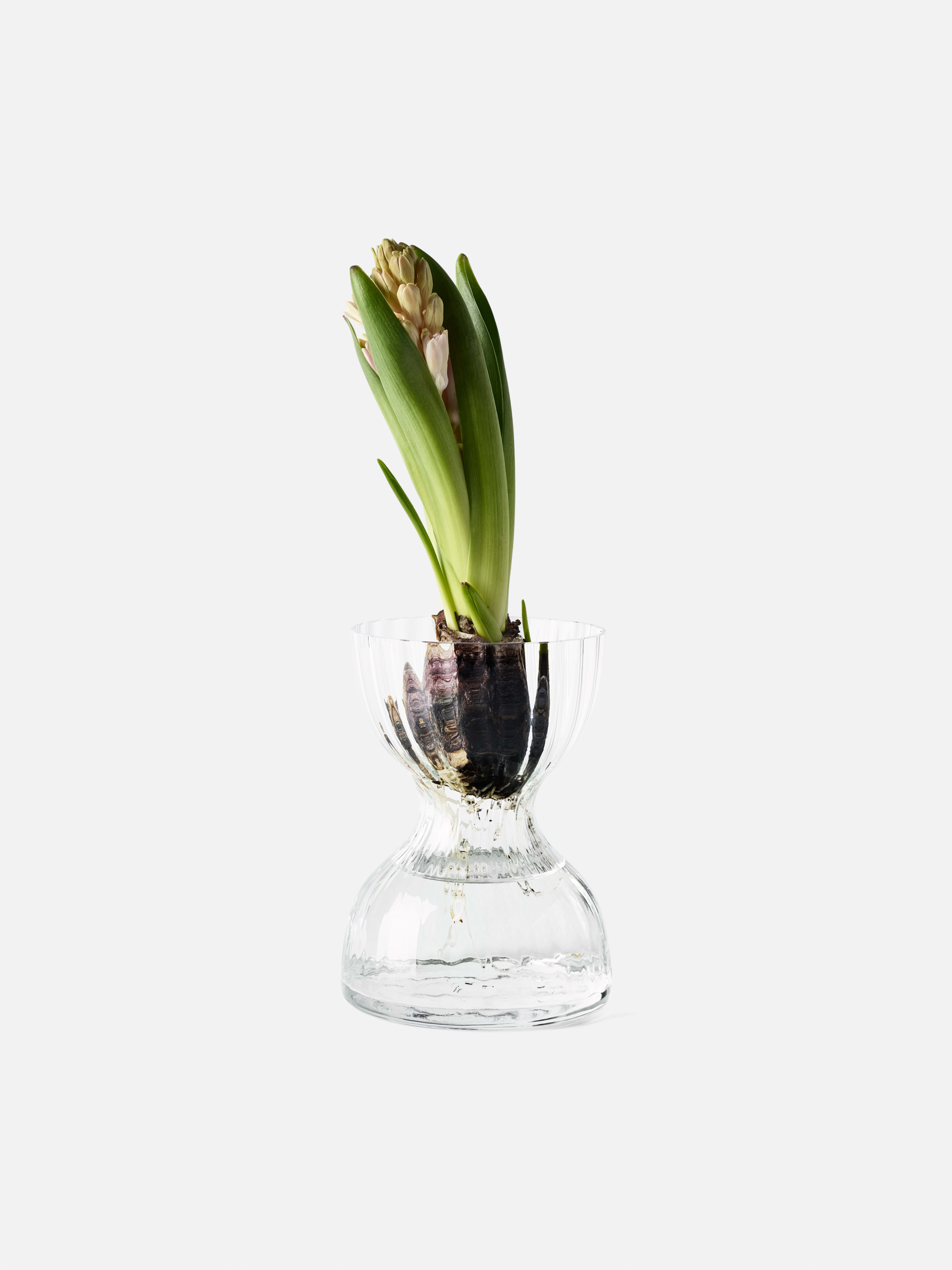 Product image thumbnail 1 of 0