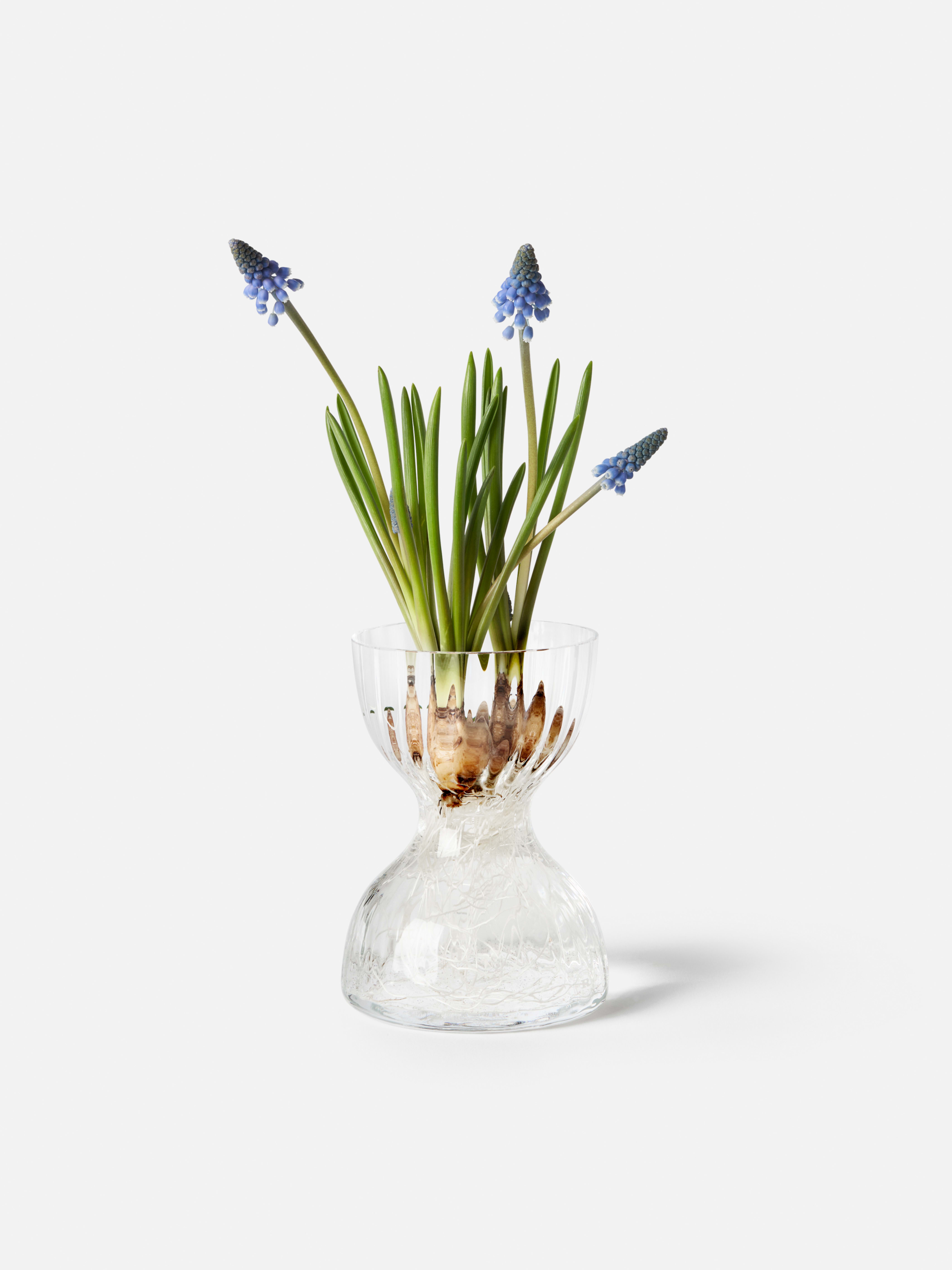 Product image thumbnail 1 of 0