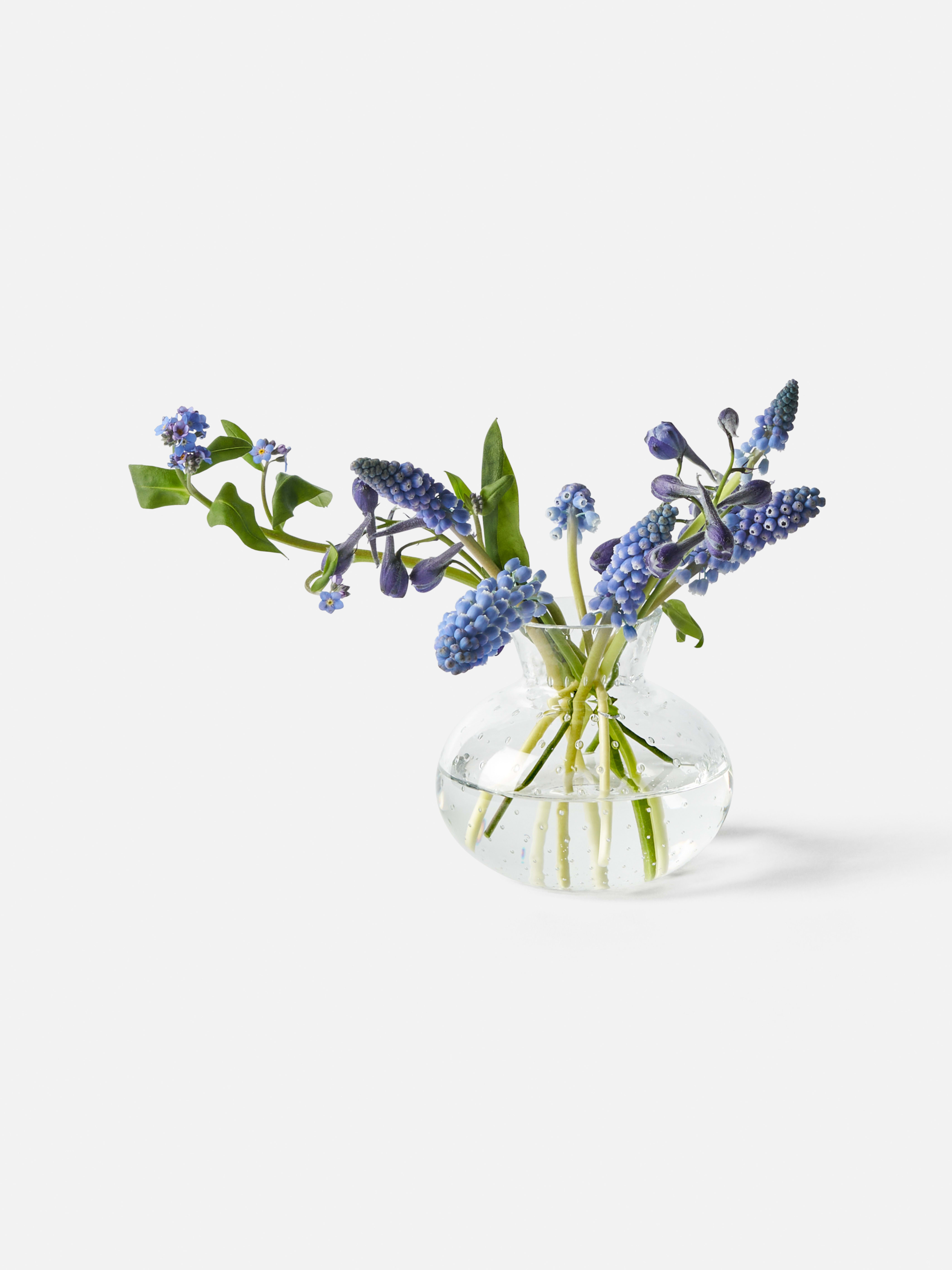Product image thumbnail 1 of 0