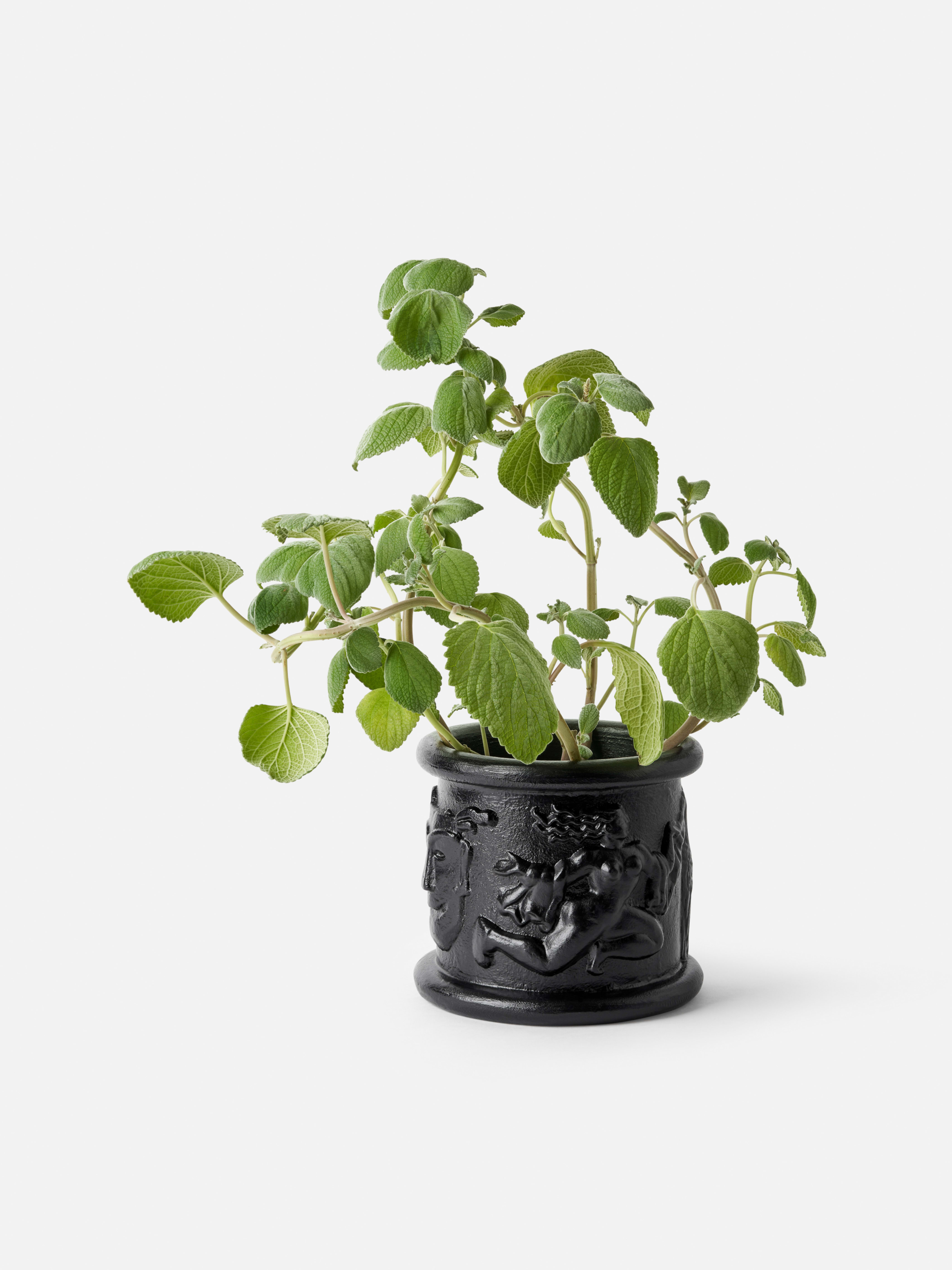 Product image thumbnail 1 of 0