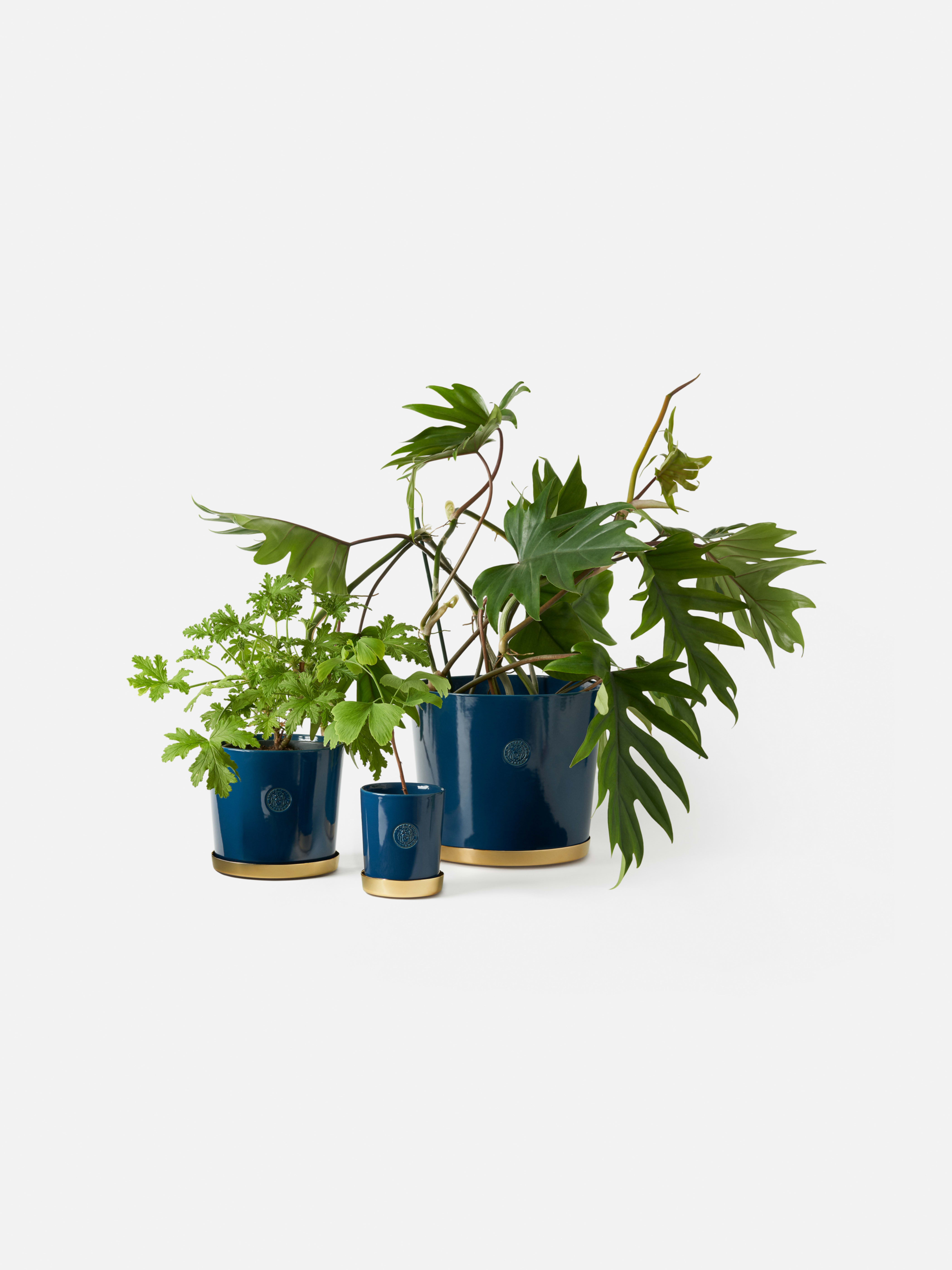 Product image thumbnail 1 of 0