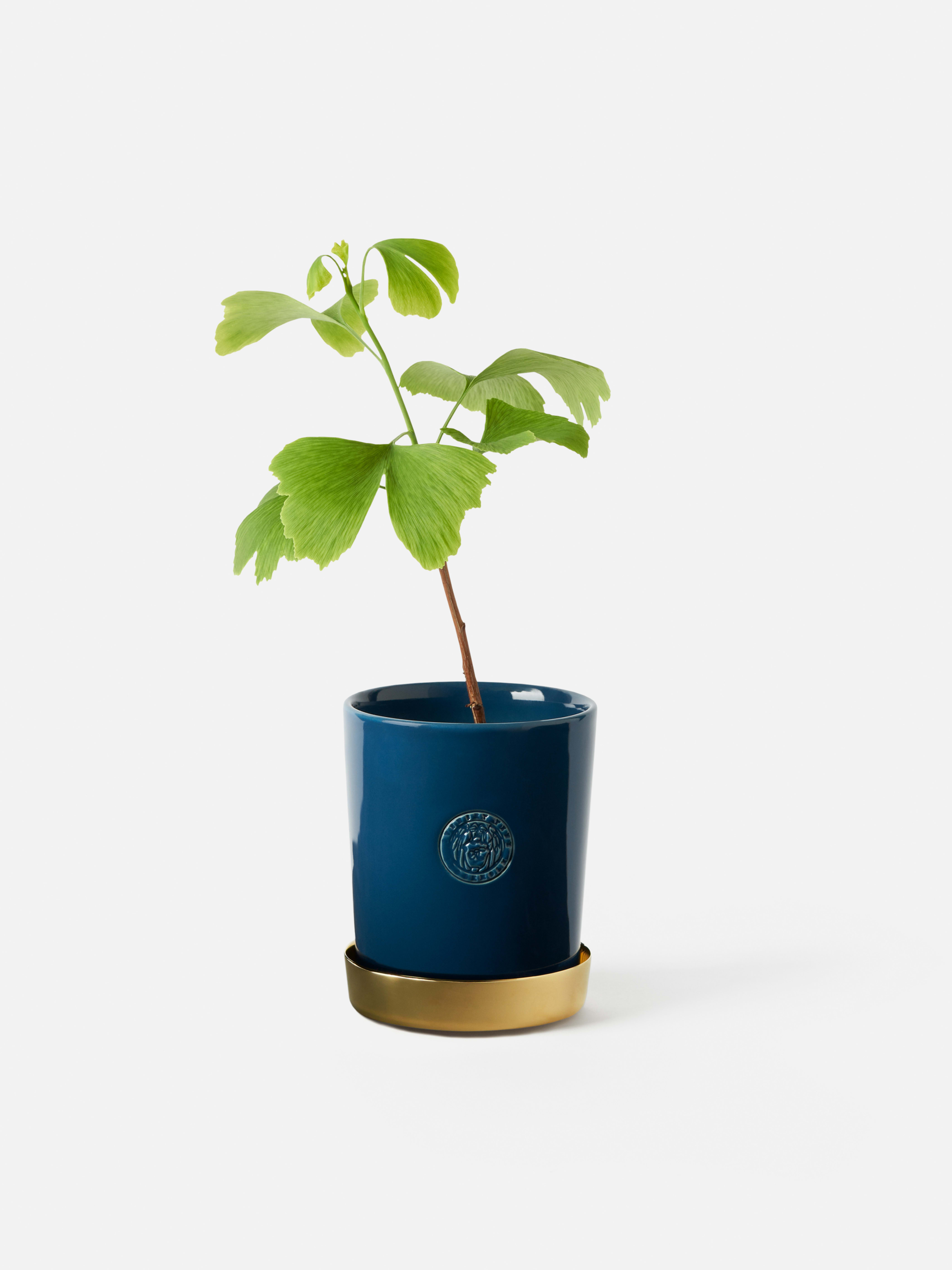 Product image thumbnail 1 of 0