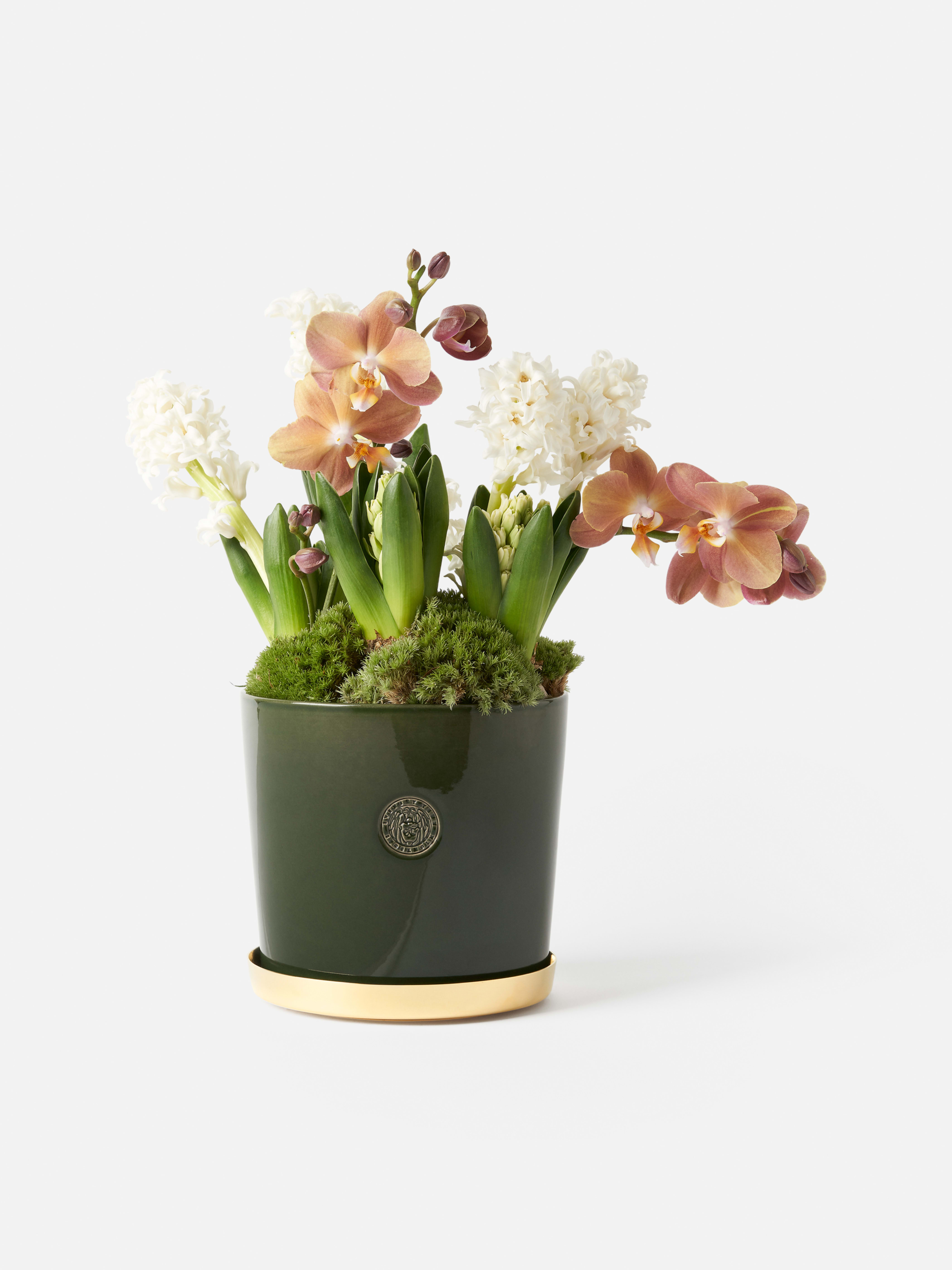 Product image thumbnail 1 of 0
