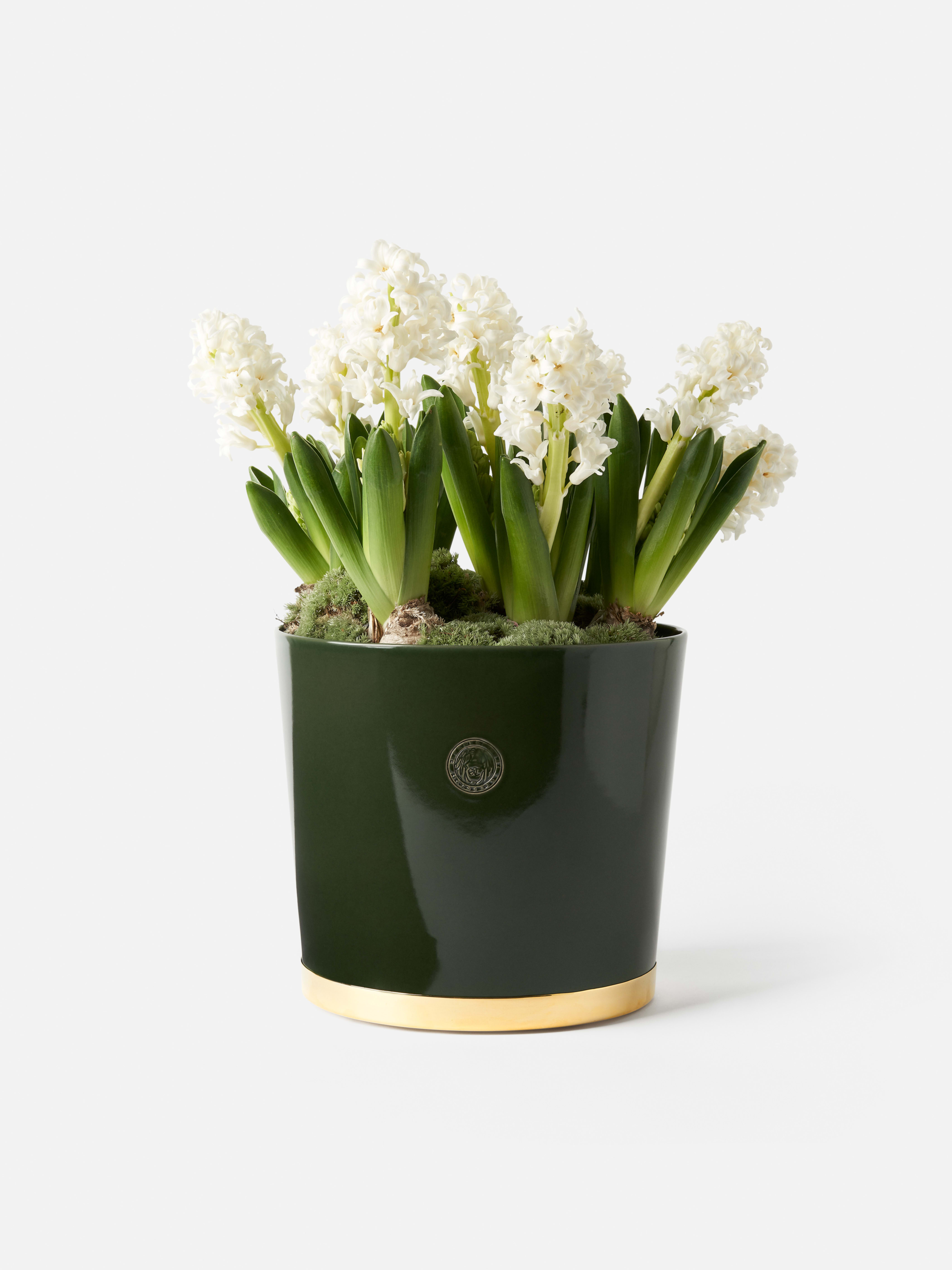 Product image thumbnail 1 of 0