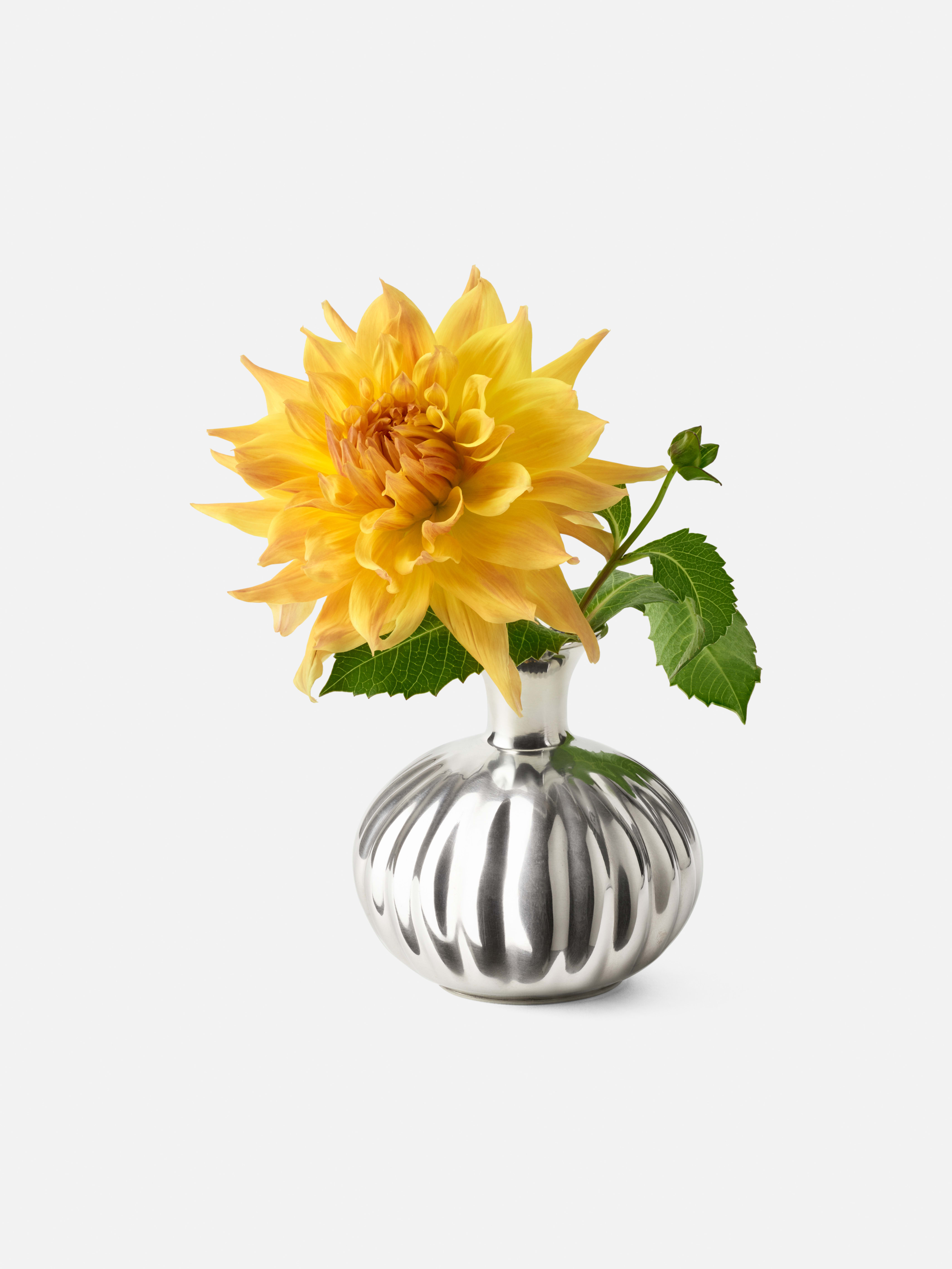 Product image thumbnail 1 of 0