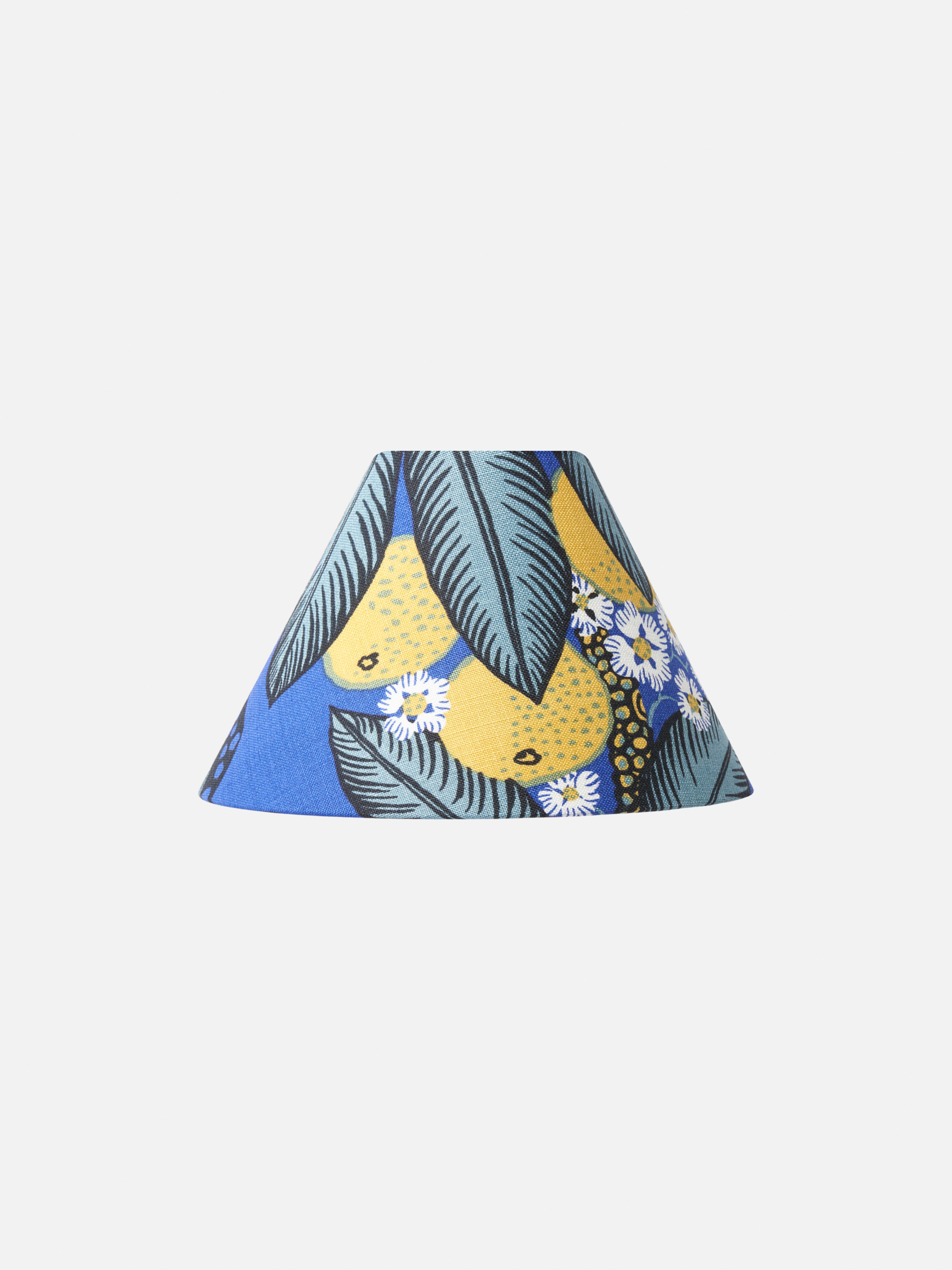 Lampshade 1842