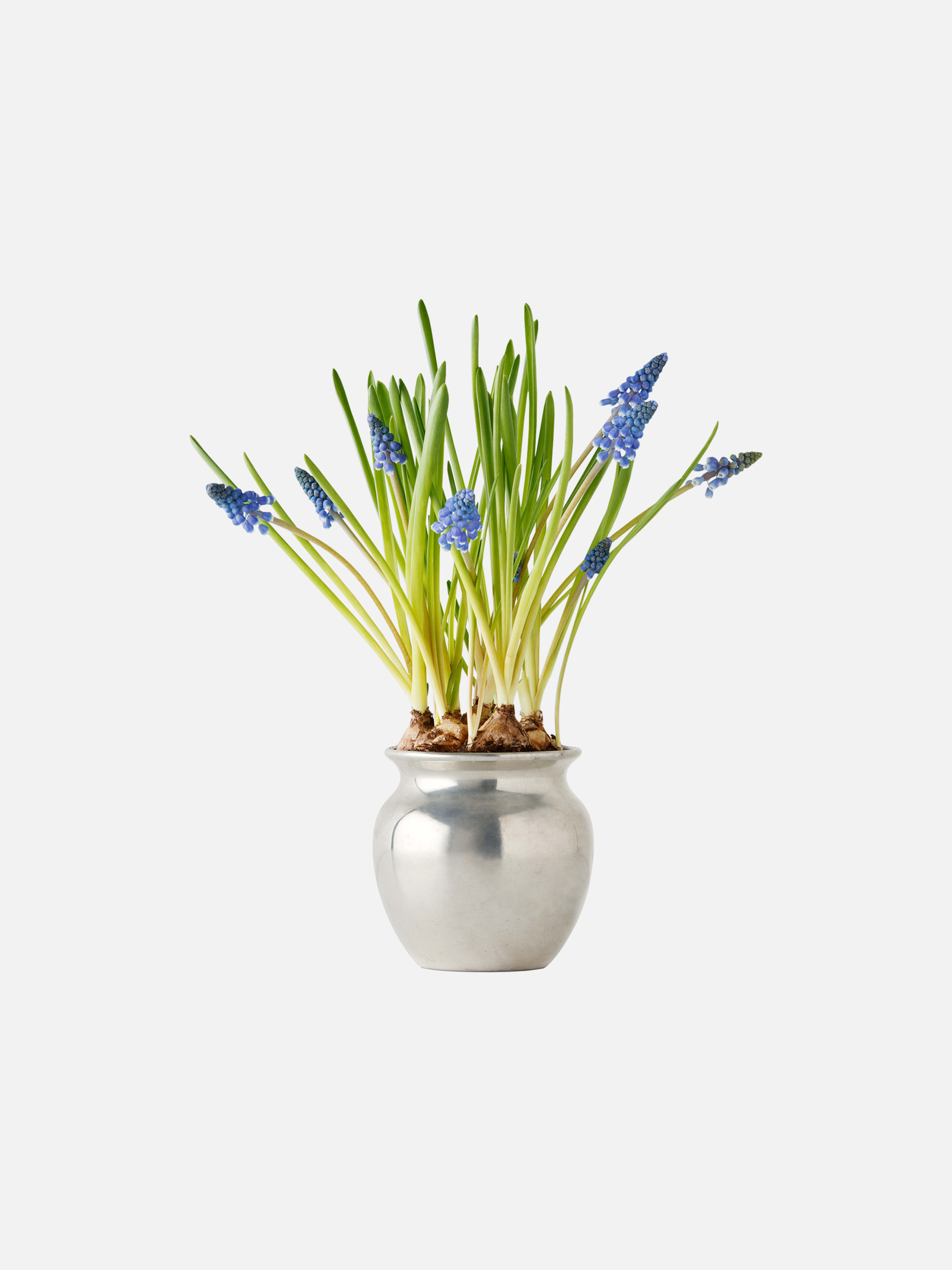 Product image thumbnail 1 of 0