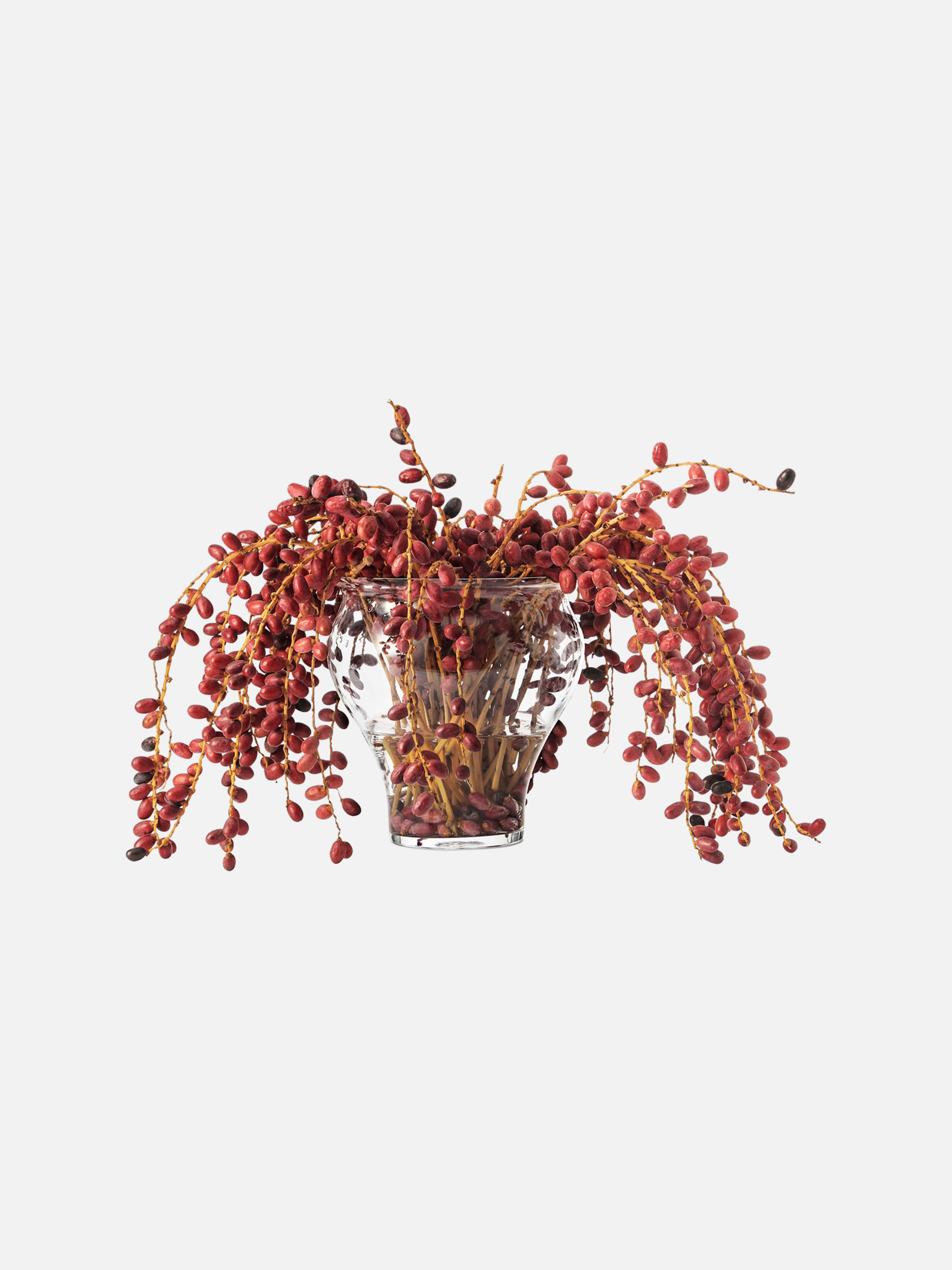 Product image thumbnail 1 of 0