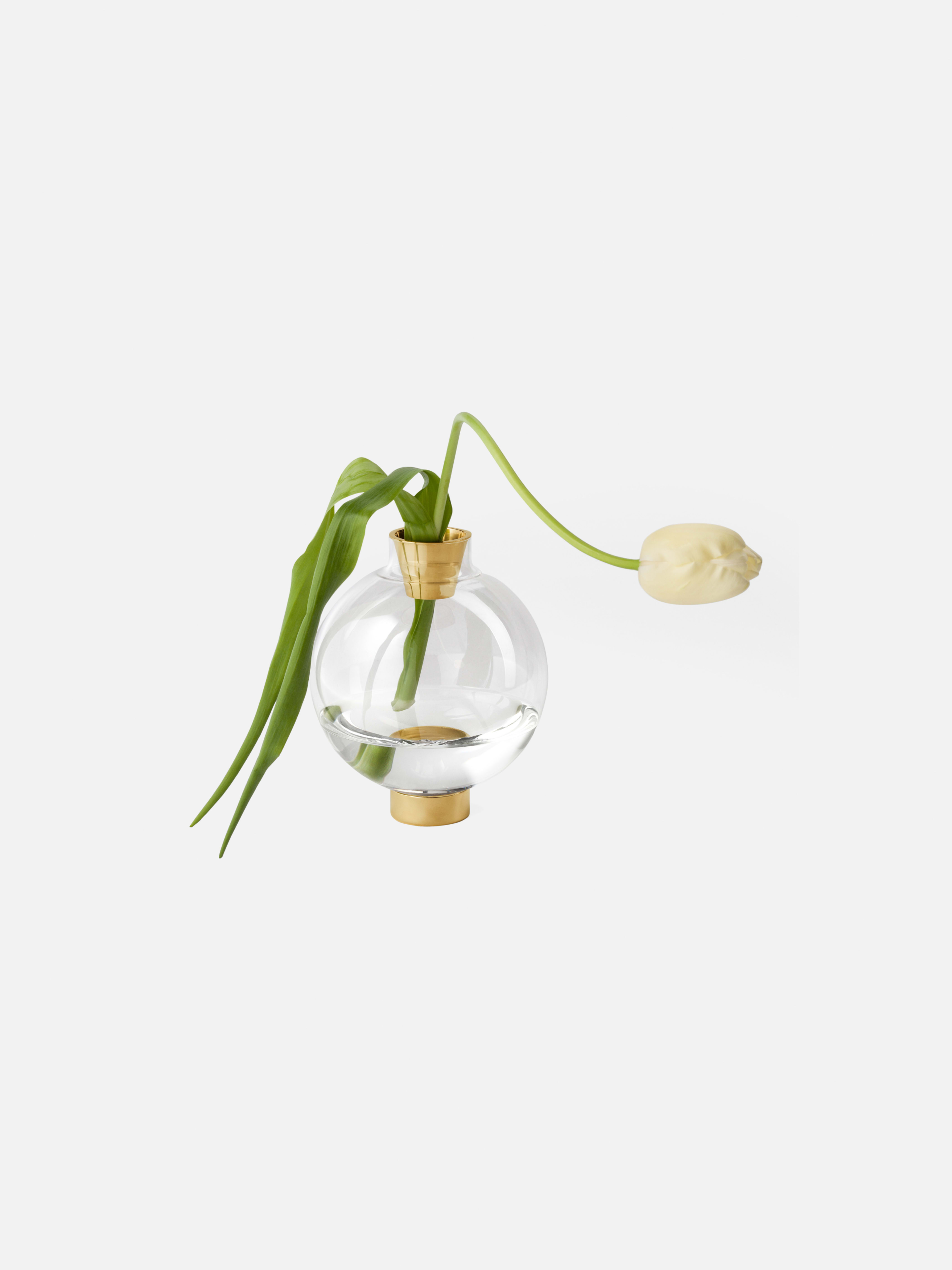 Product image thumbnail 1 of 0