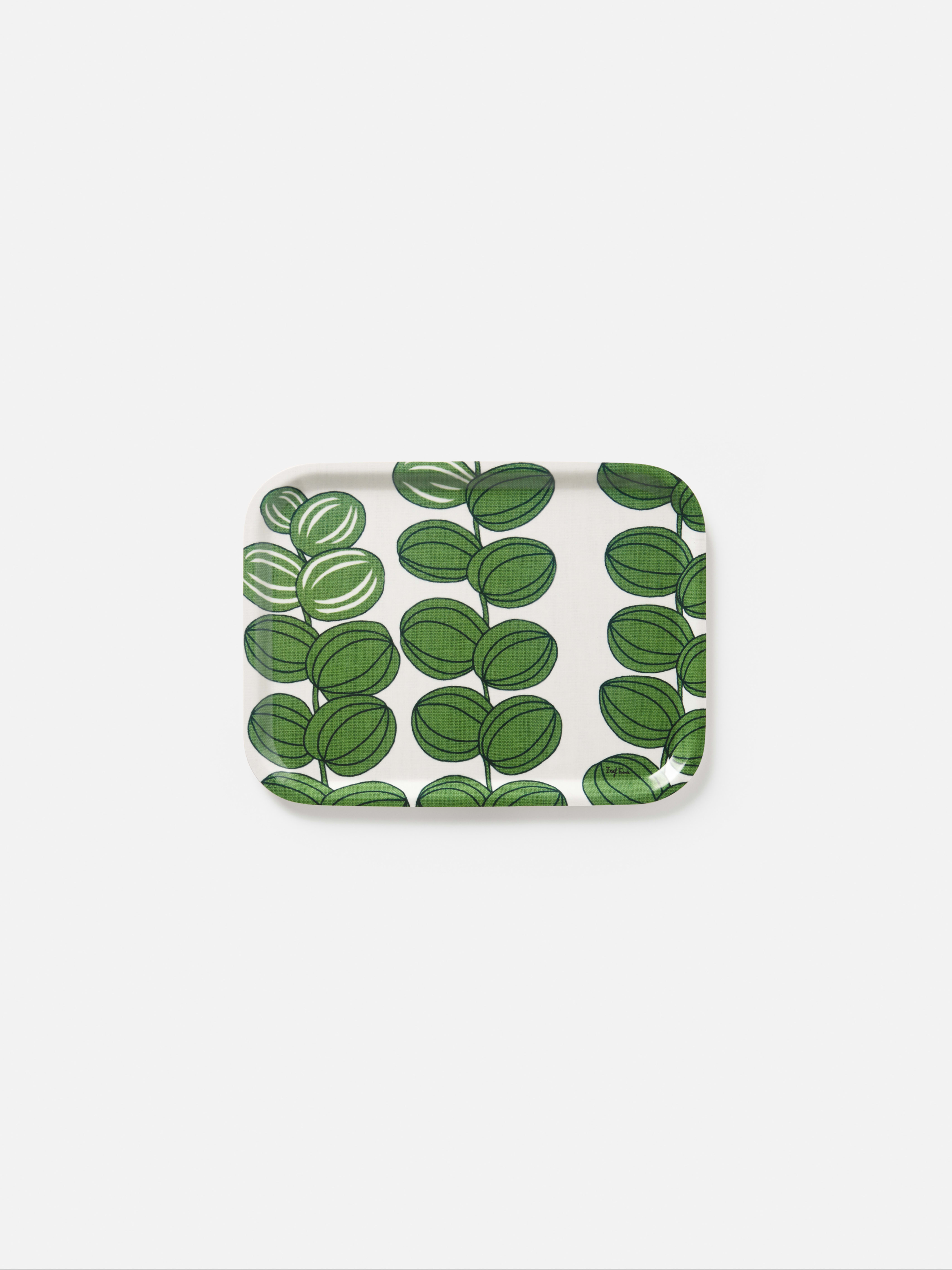 Tray Celotocaulis