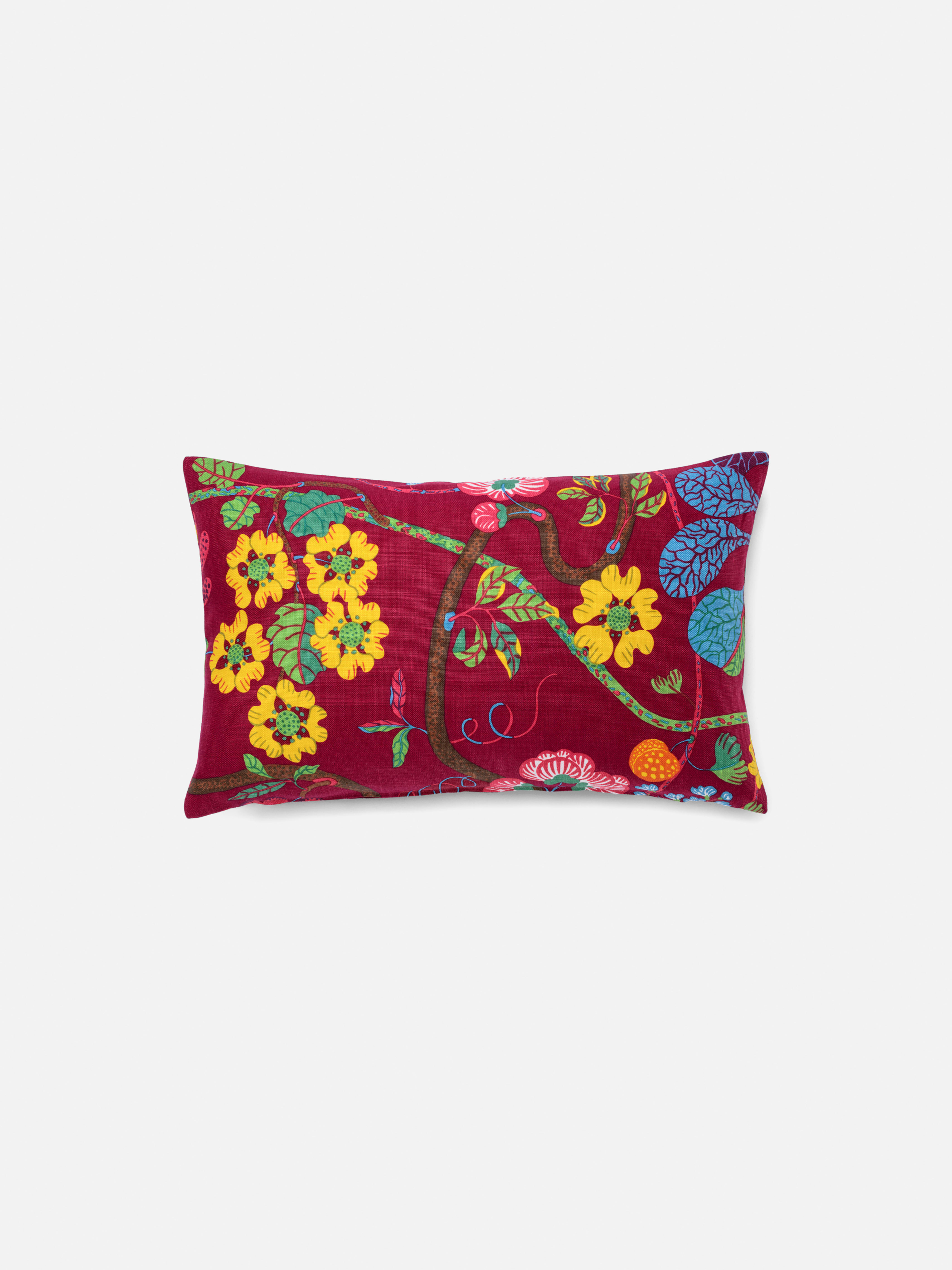 Cushion Baranquilla
