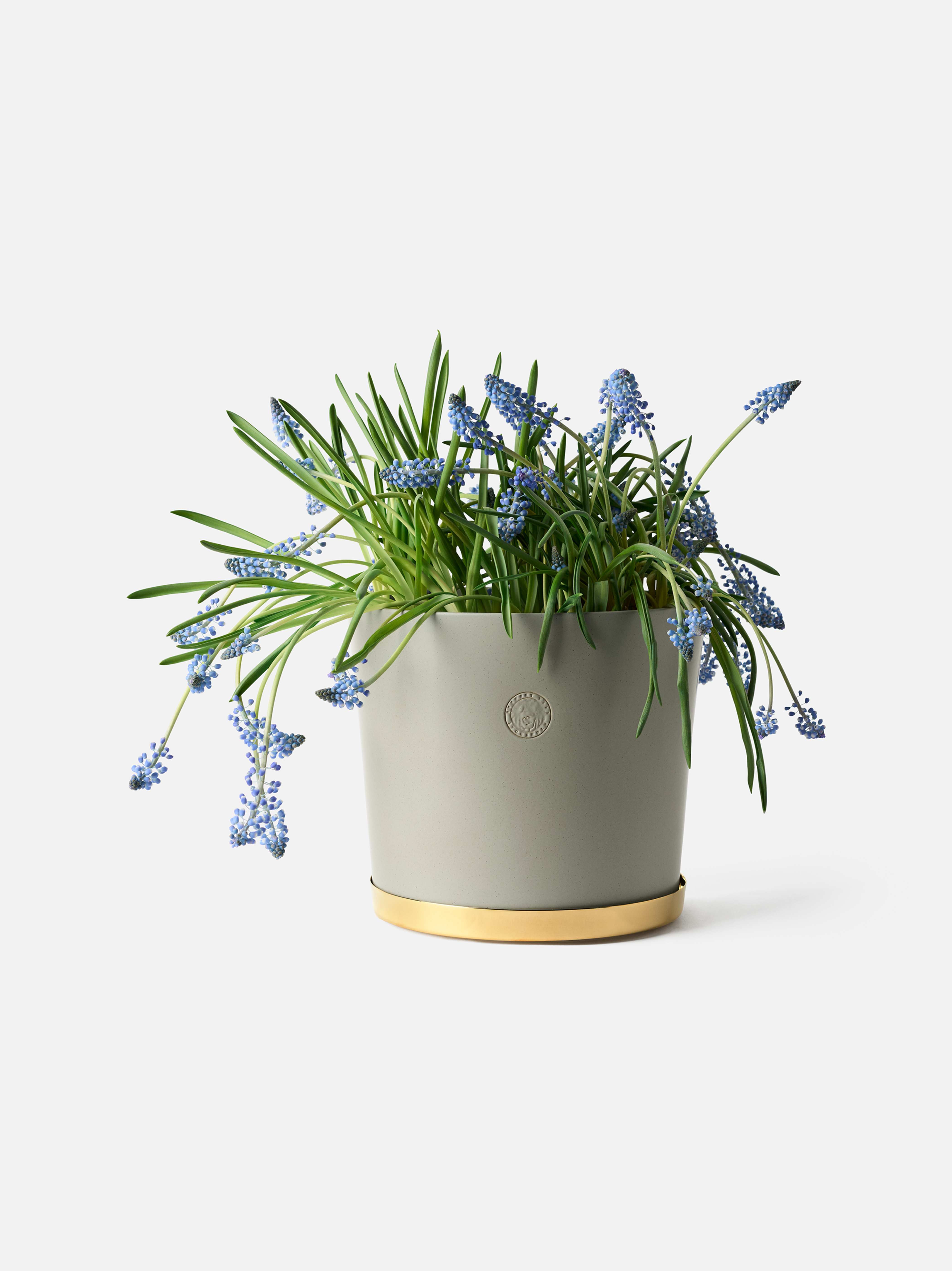 Product image thumbnail 1 of 0