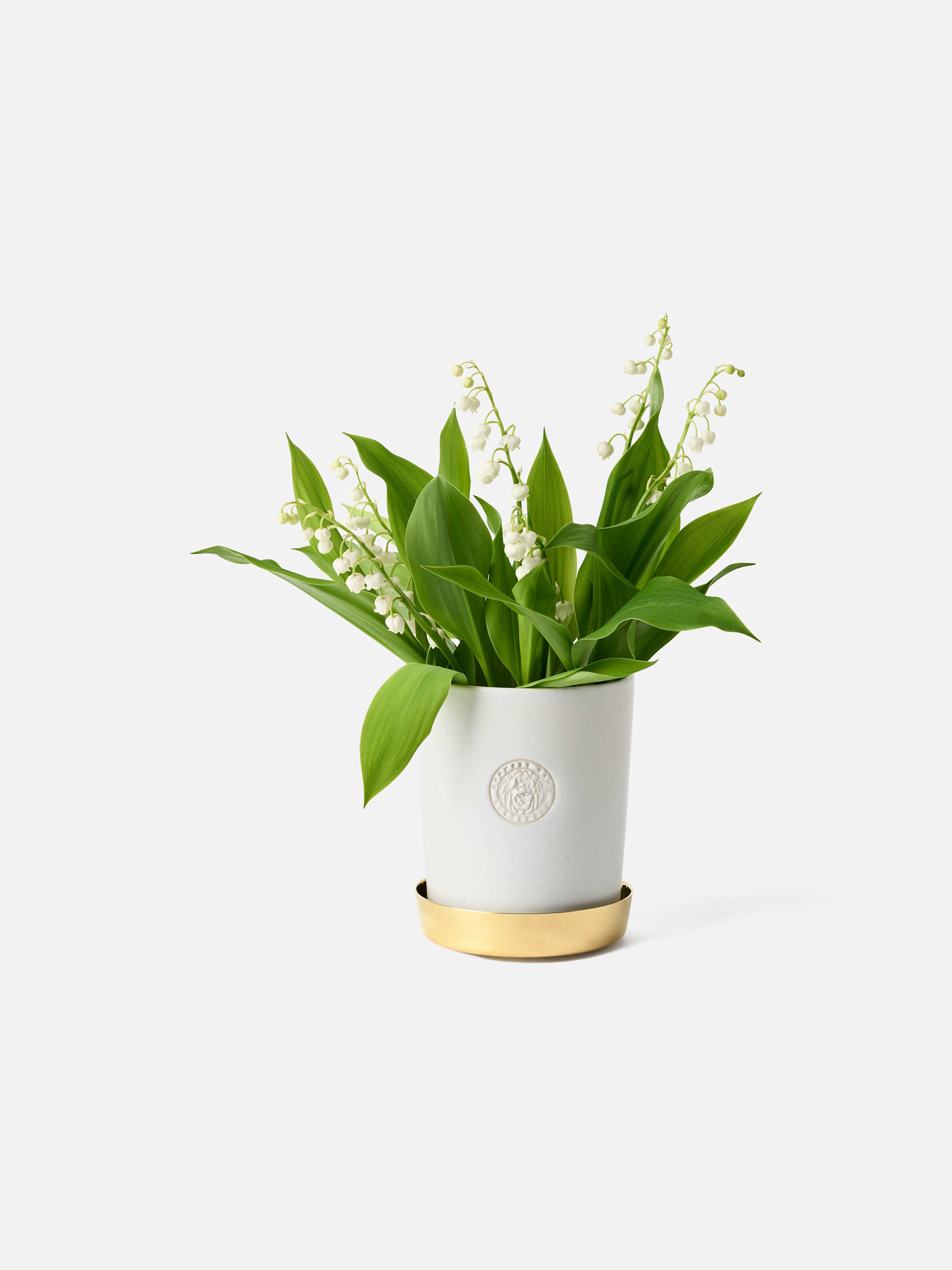 Product image thumbnail 1 of 0